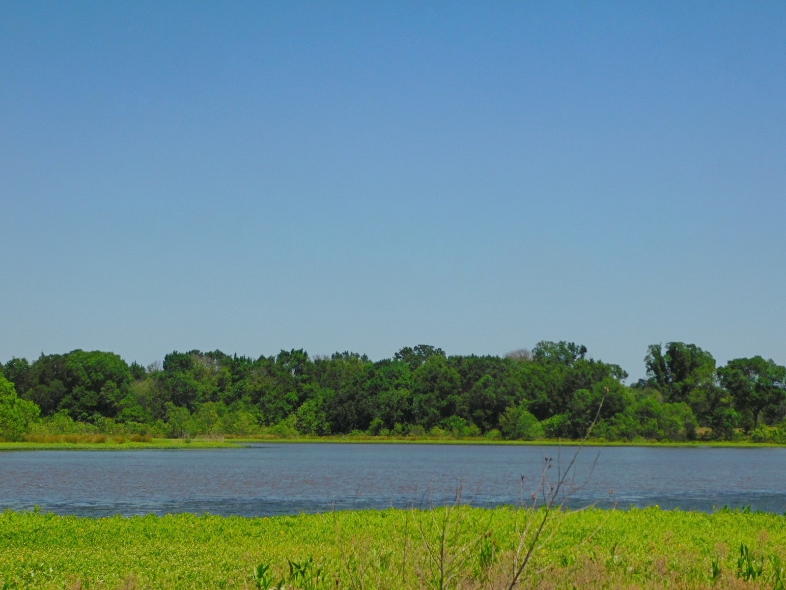 TBD SE County Road 4030