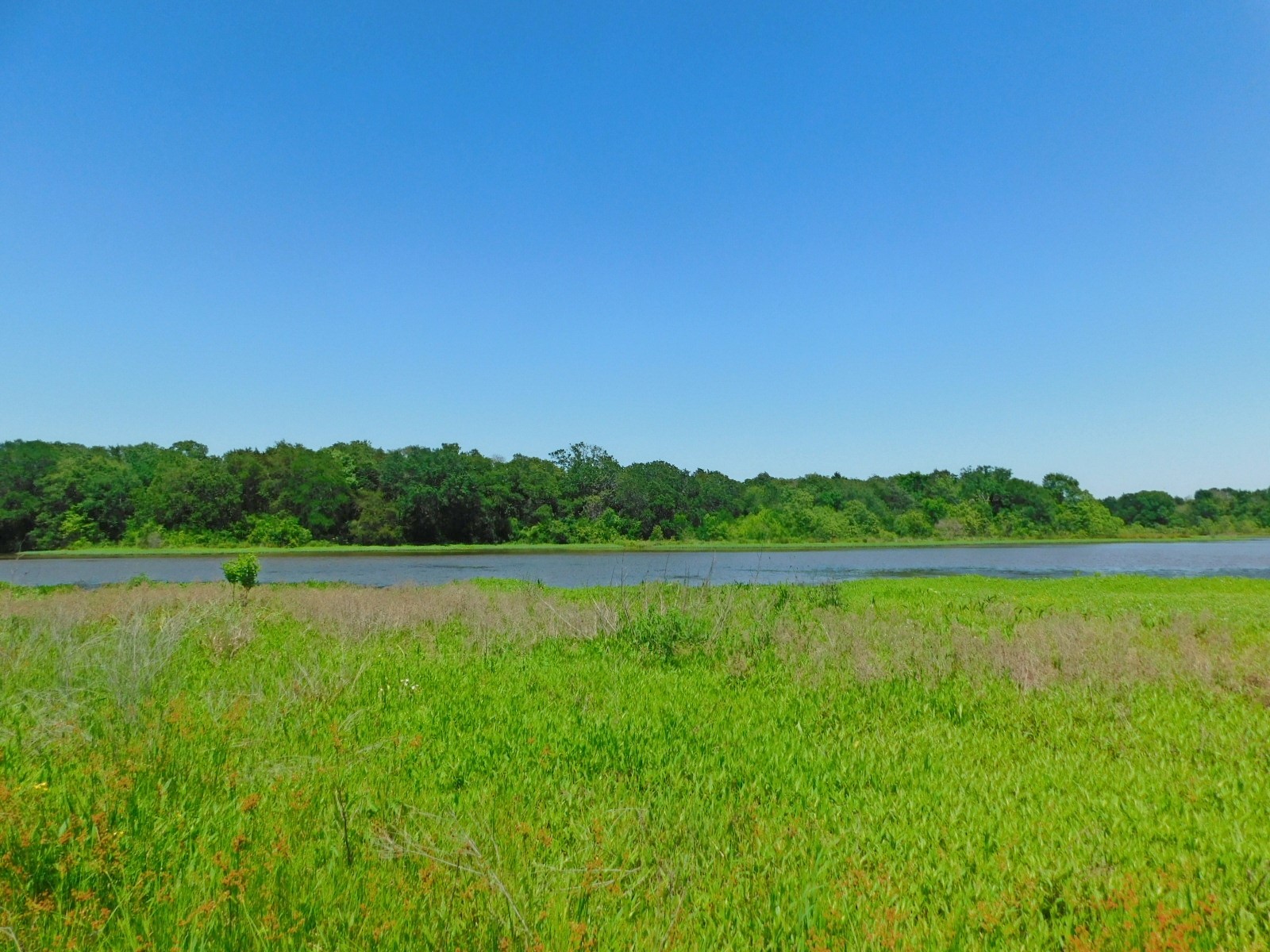 TBD SE County Road 4030