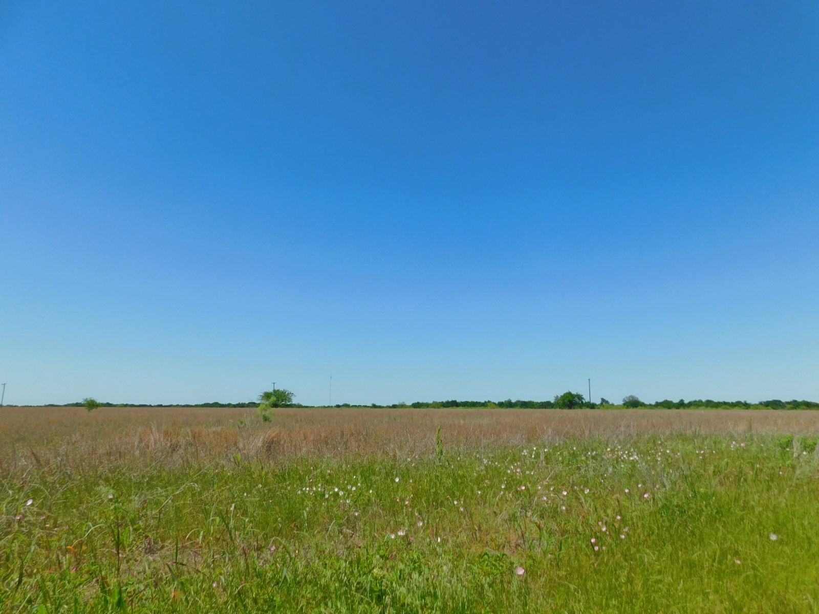 TBD SE County Road 4030