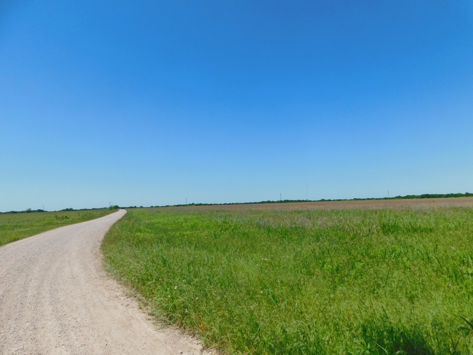 TBD SE County Road 4030