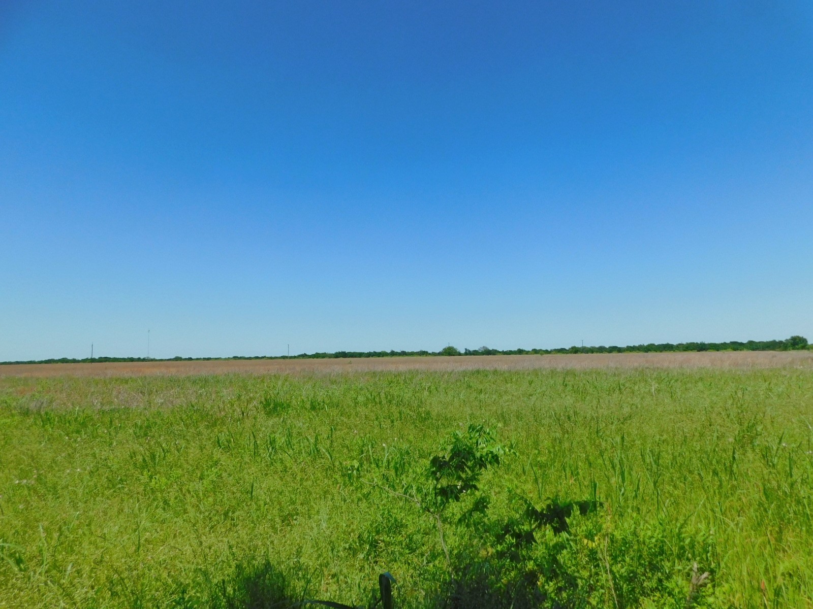 TBD SE County Road 4030