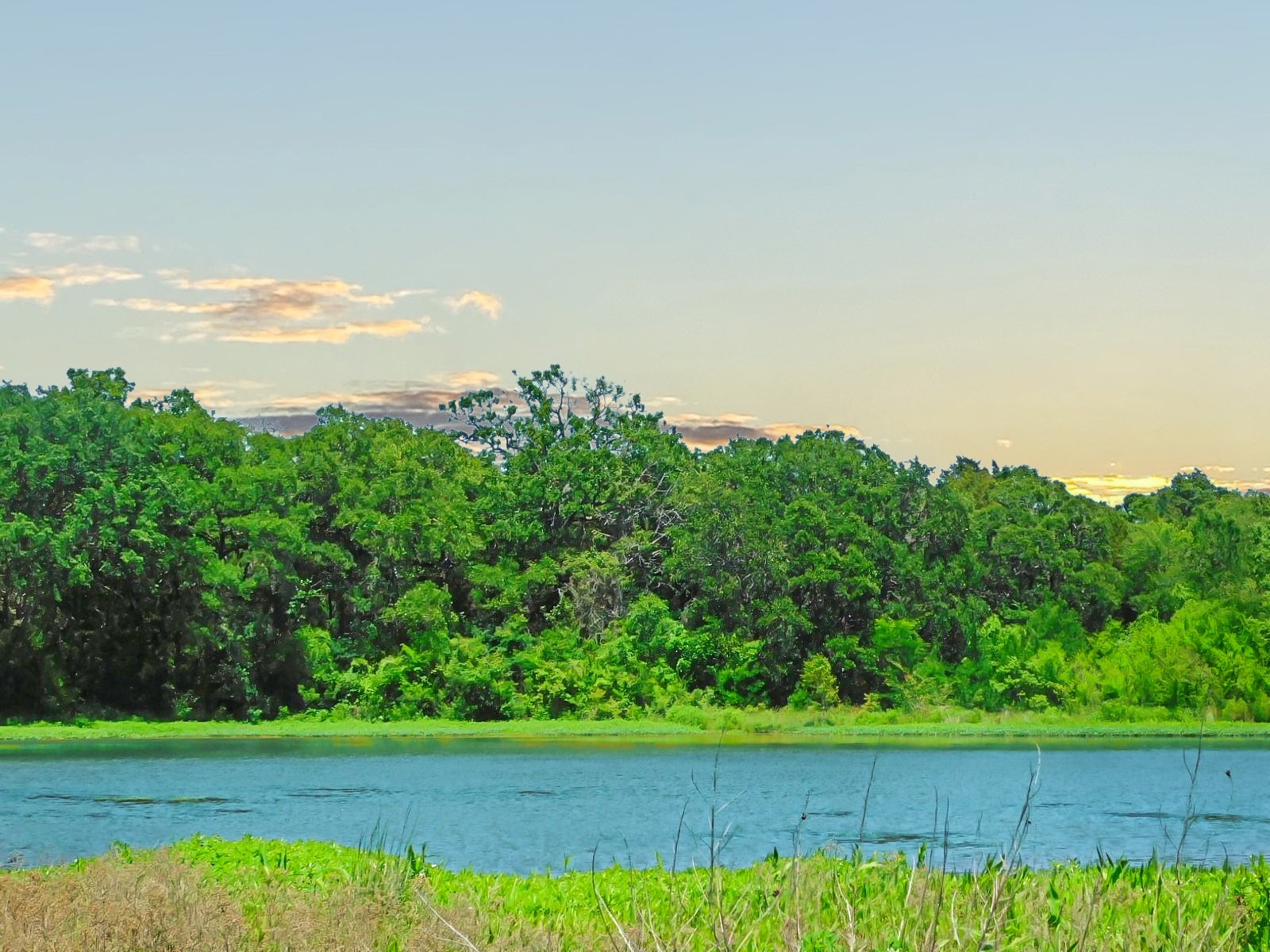 TBD SE County Road 4030