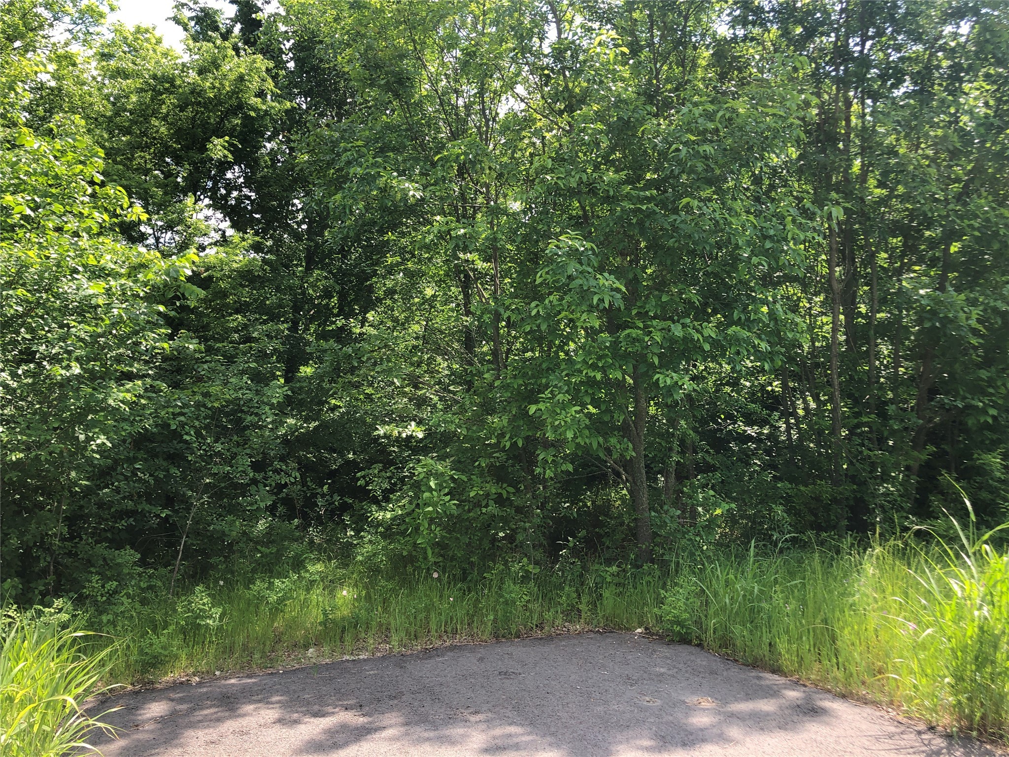 TBD 1.01 SE County Road 3243