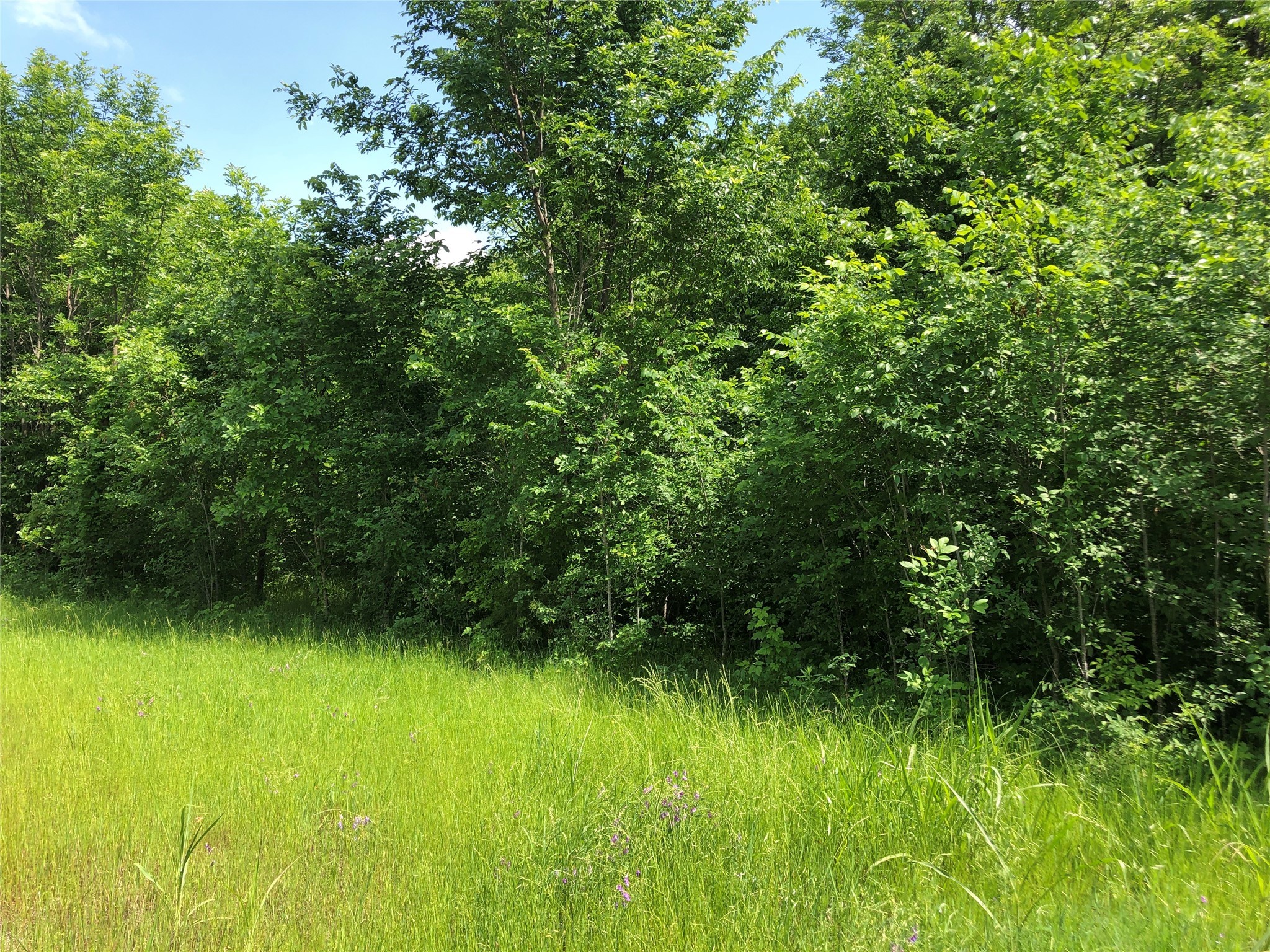 TBD 1.01 SE County Road 3243