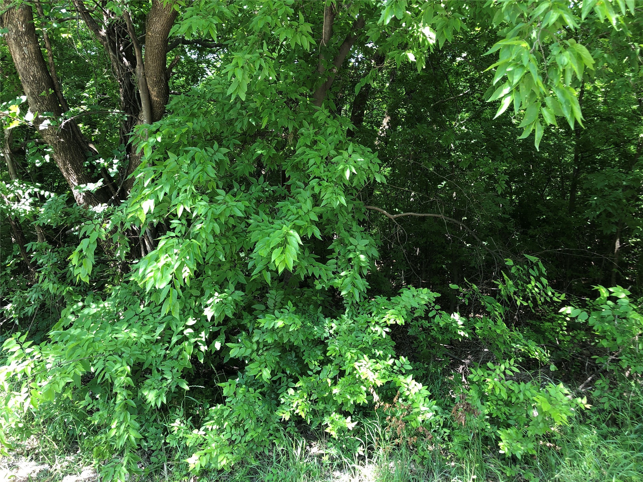 TBD 1.01 SE County Road 3243