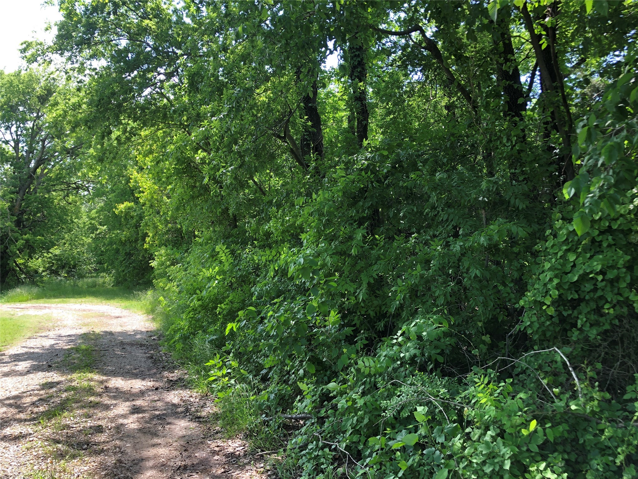 TBD 1.01 SE County Road 3243