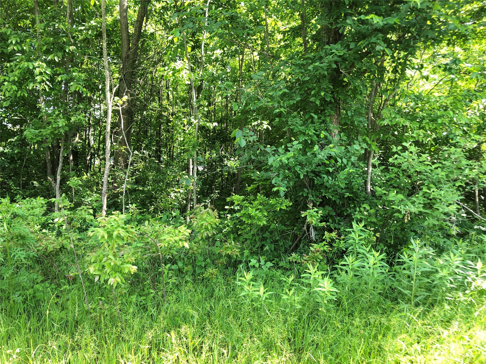 TBD 1.01 SE County Road 3243