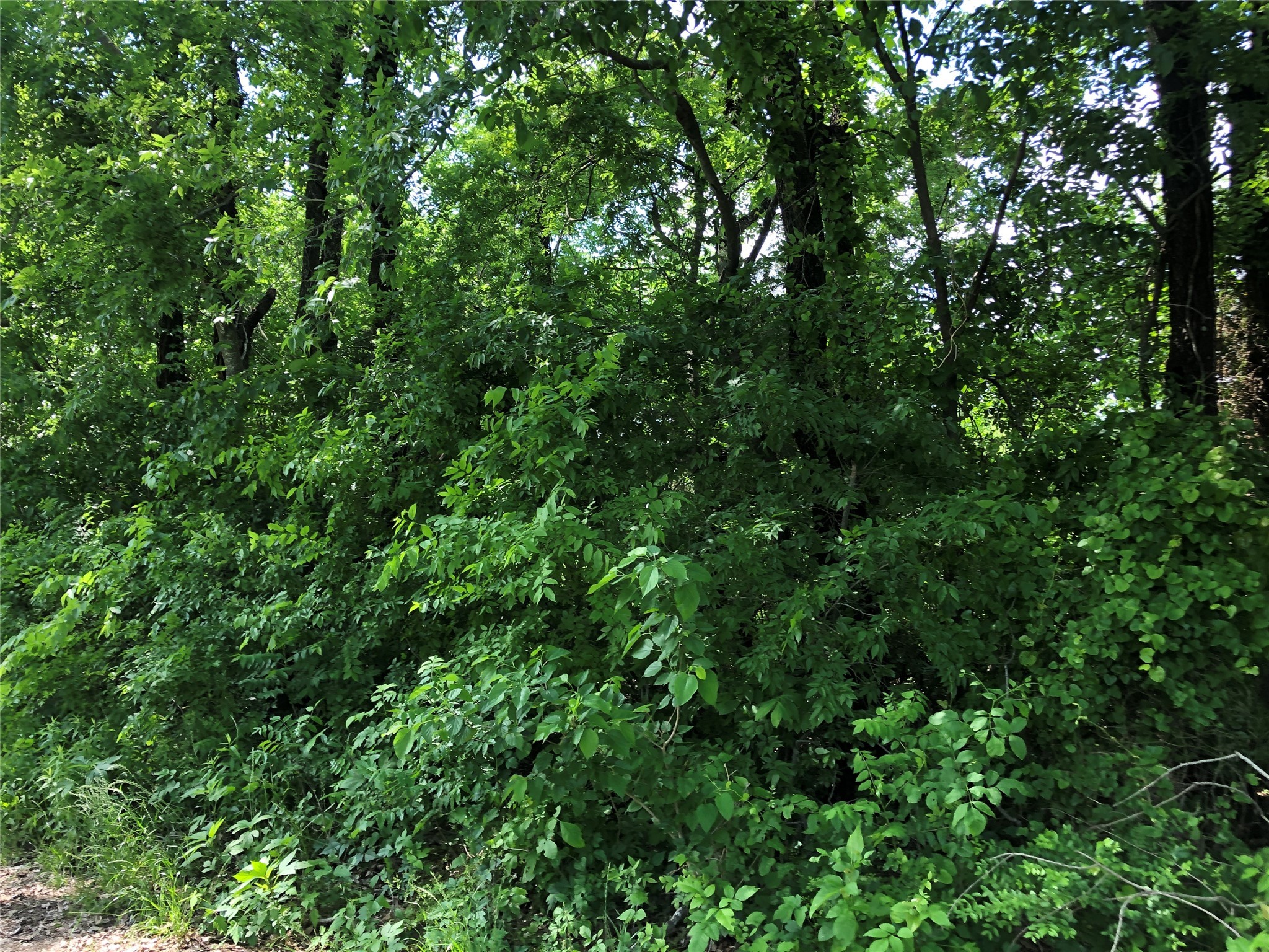 TBD 1.01 SE County Road 3243