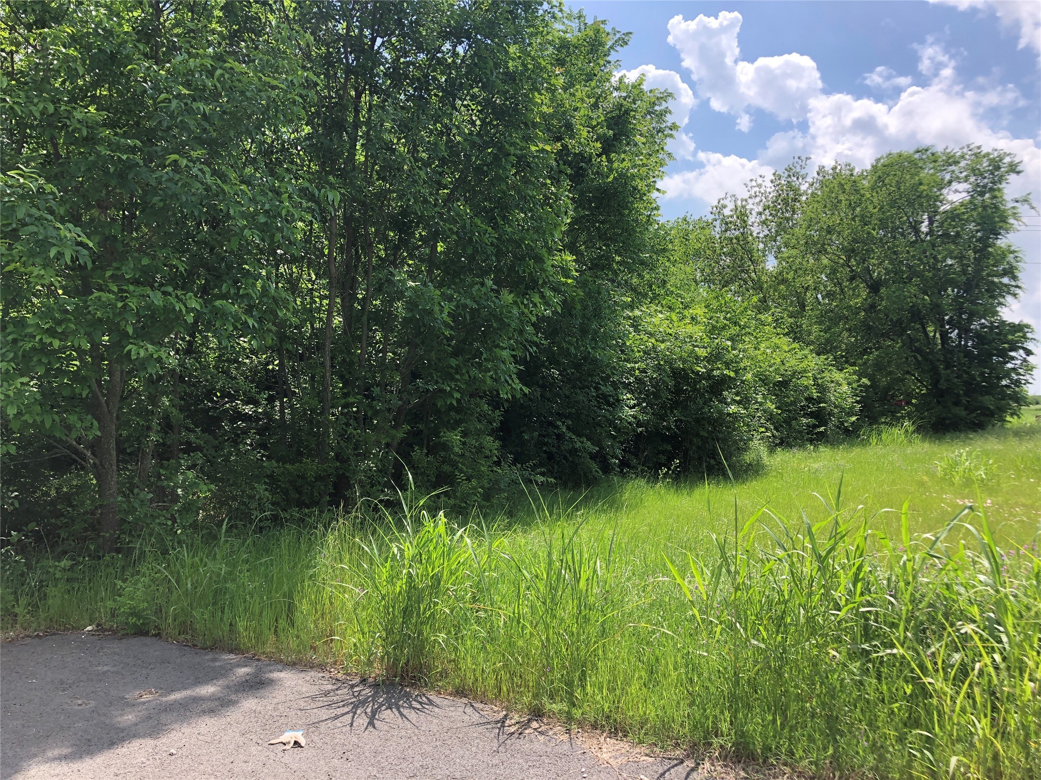TBD 1.01 SE County Road 3243