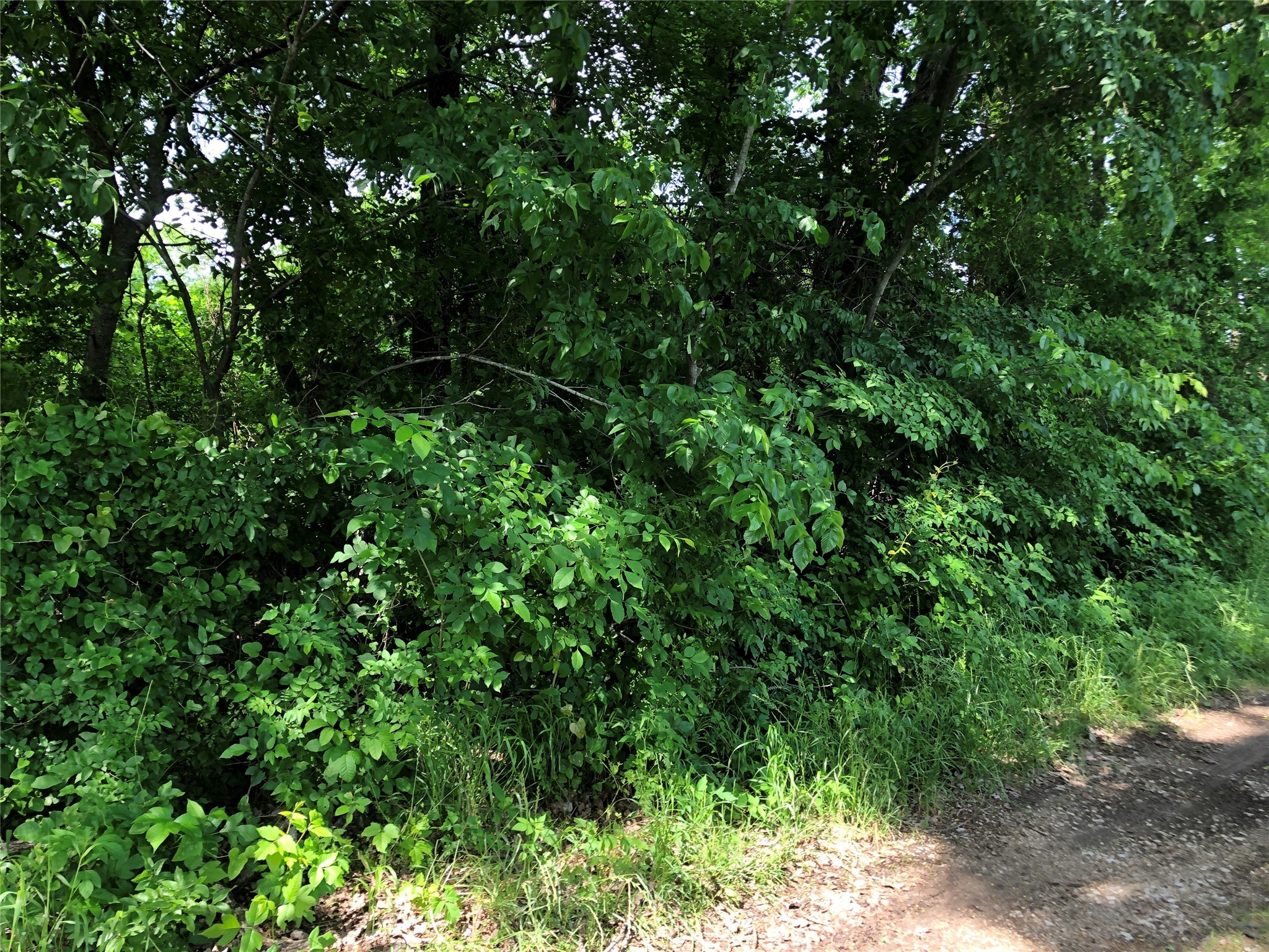 TBD 1.01 SE County Road 3243