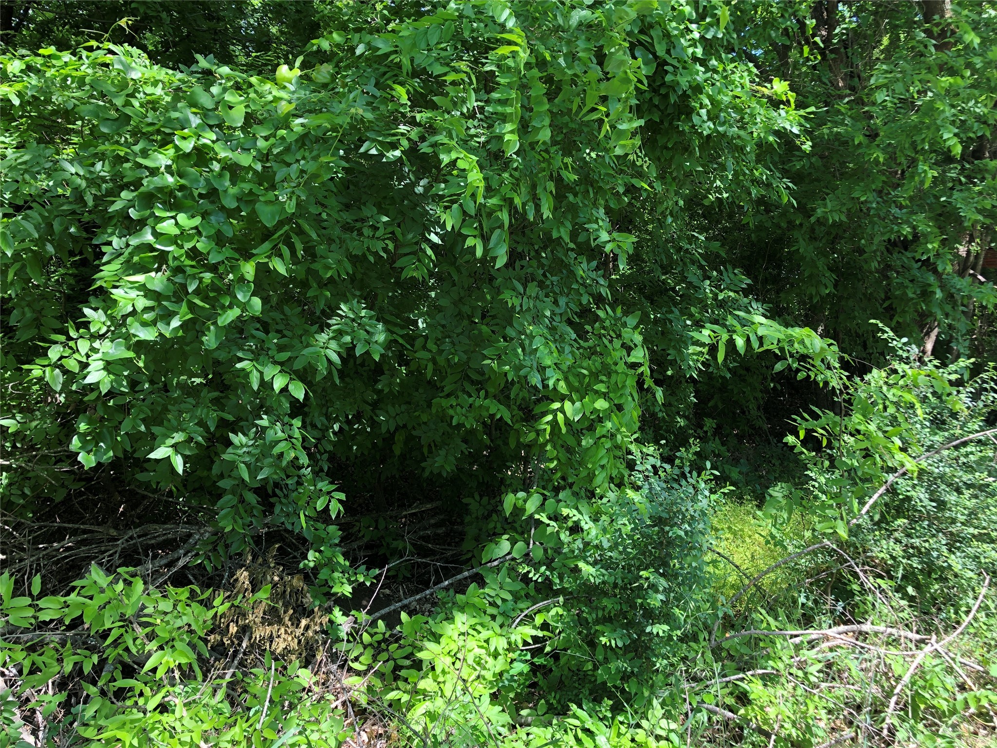 TBD 1.01 SE County Road 3243