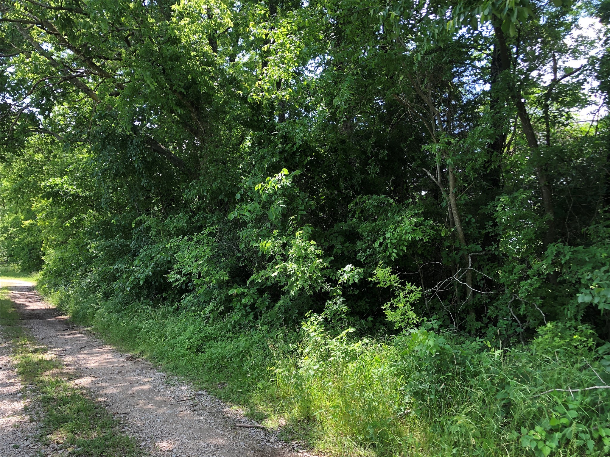 TBD 1.01 SE County Road 3243