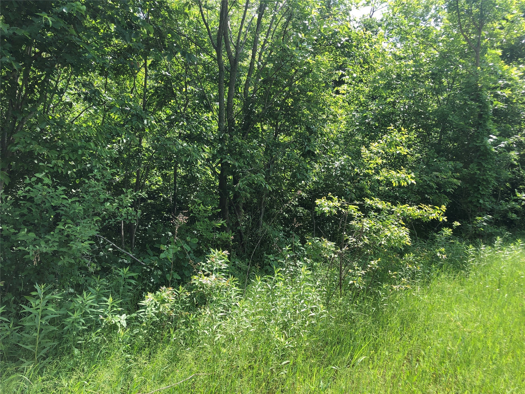 TBD 1.01 SE County Road 3243