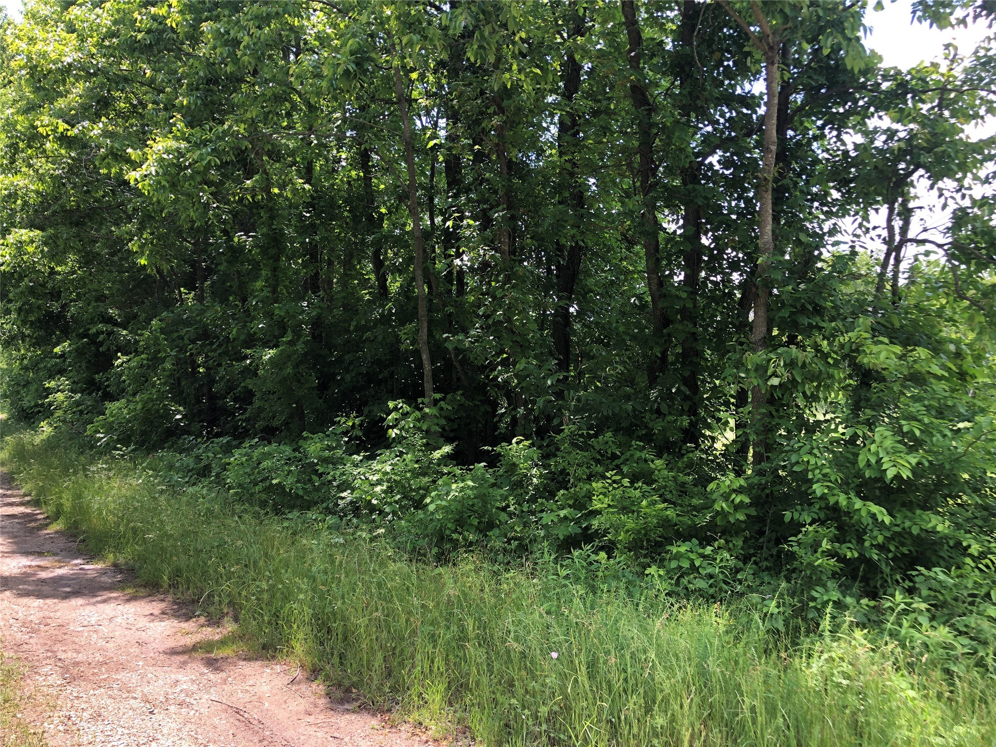 TBD 1.01 SE County Road 3243