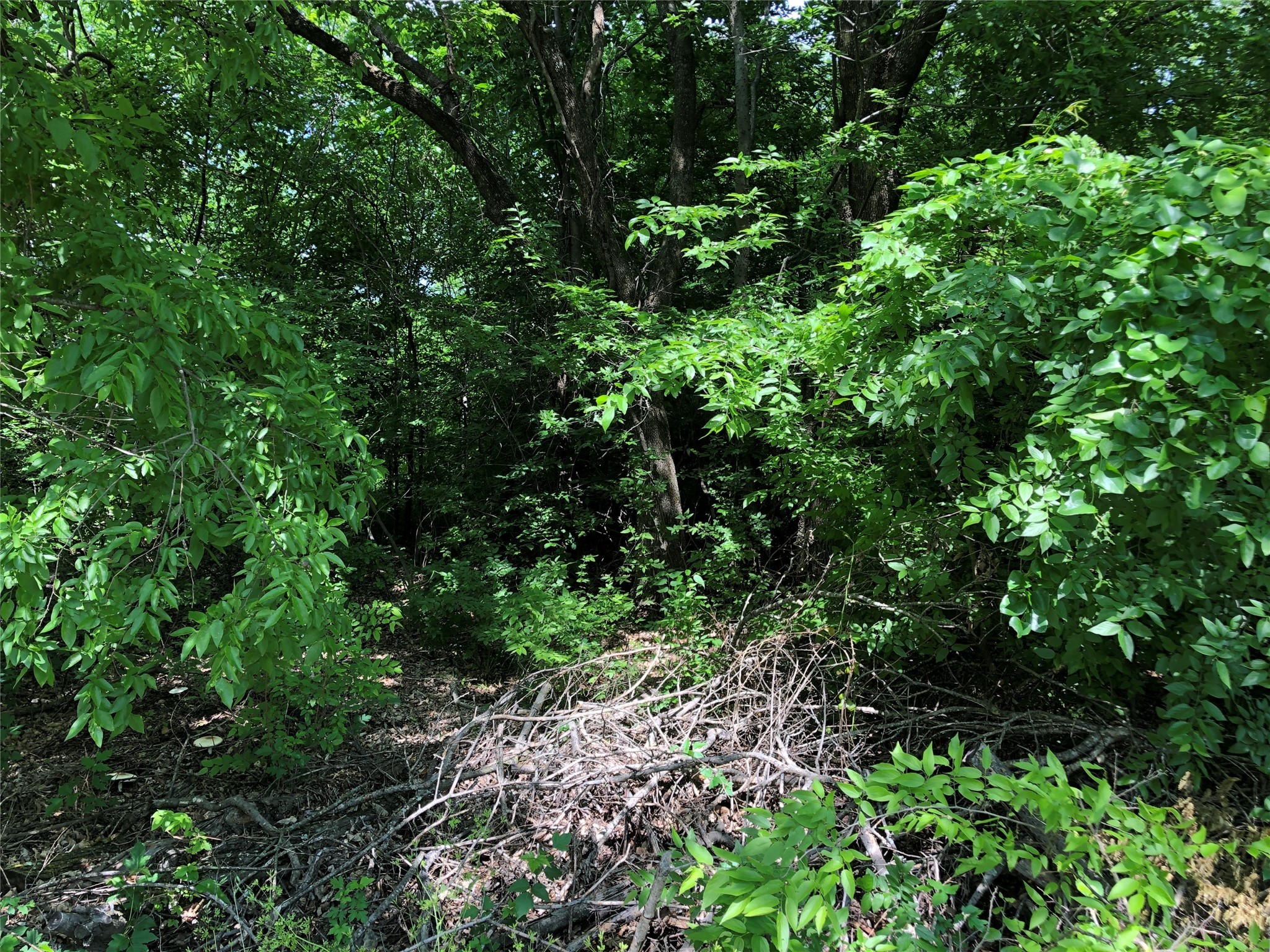 TBD 1.01 SE County Road 3243