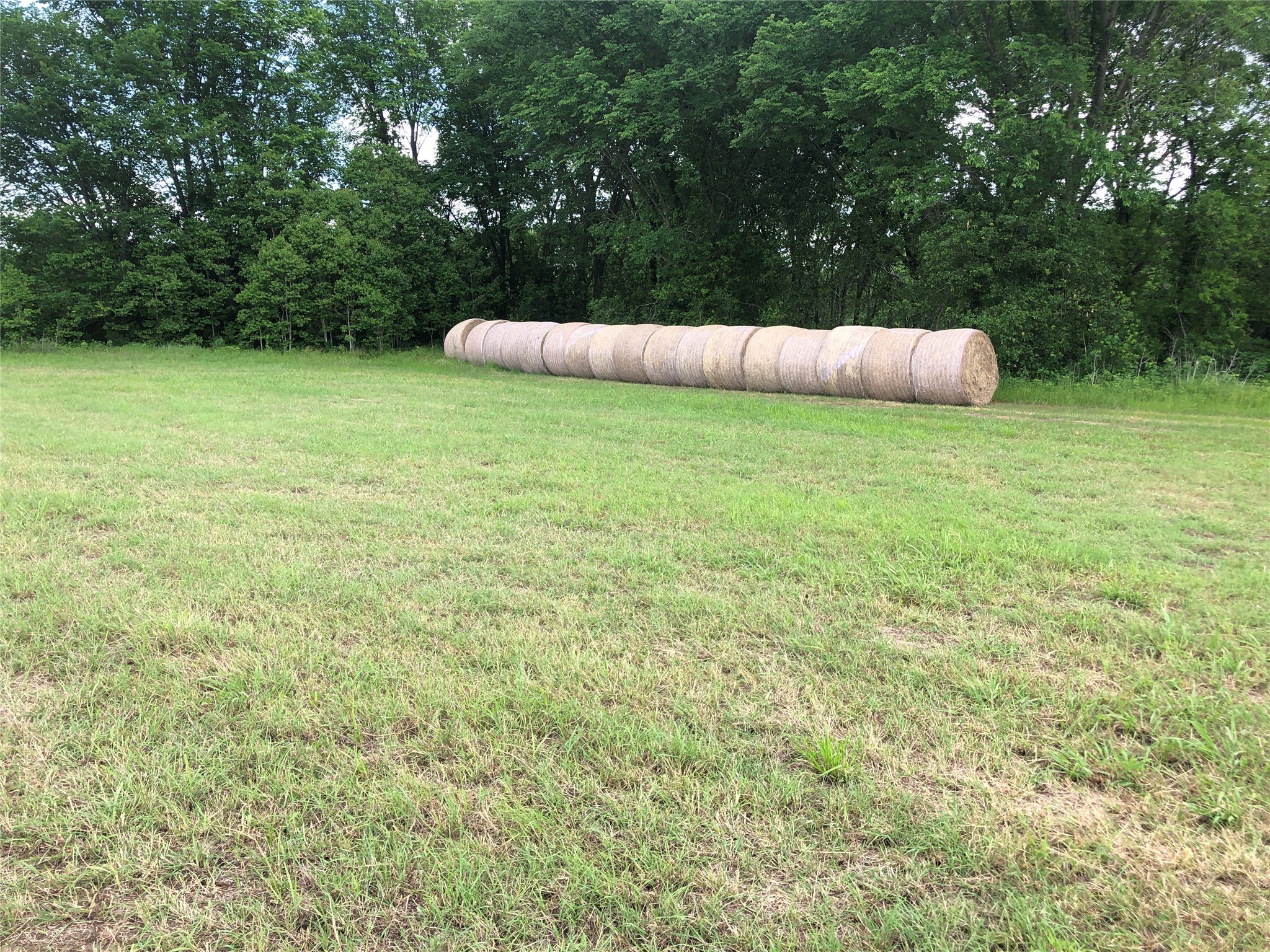 8536 S US Highway 287