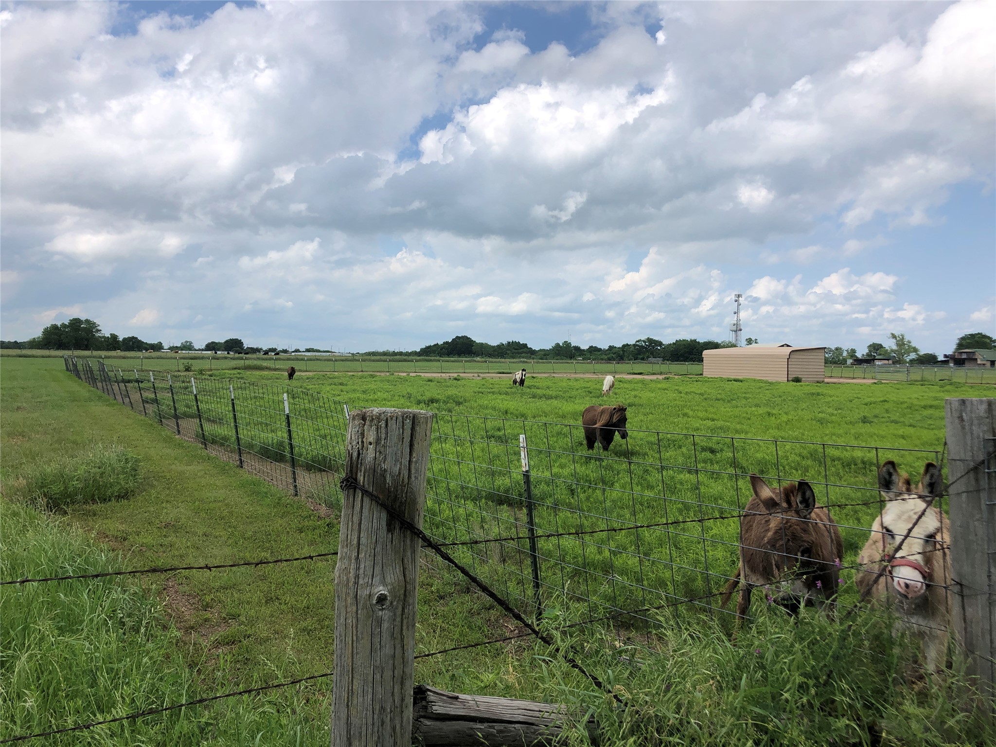 8536 S US Highway 287