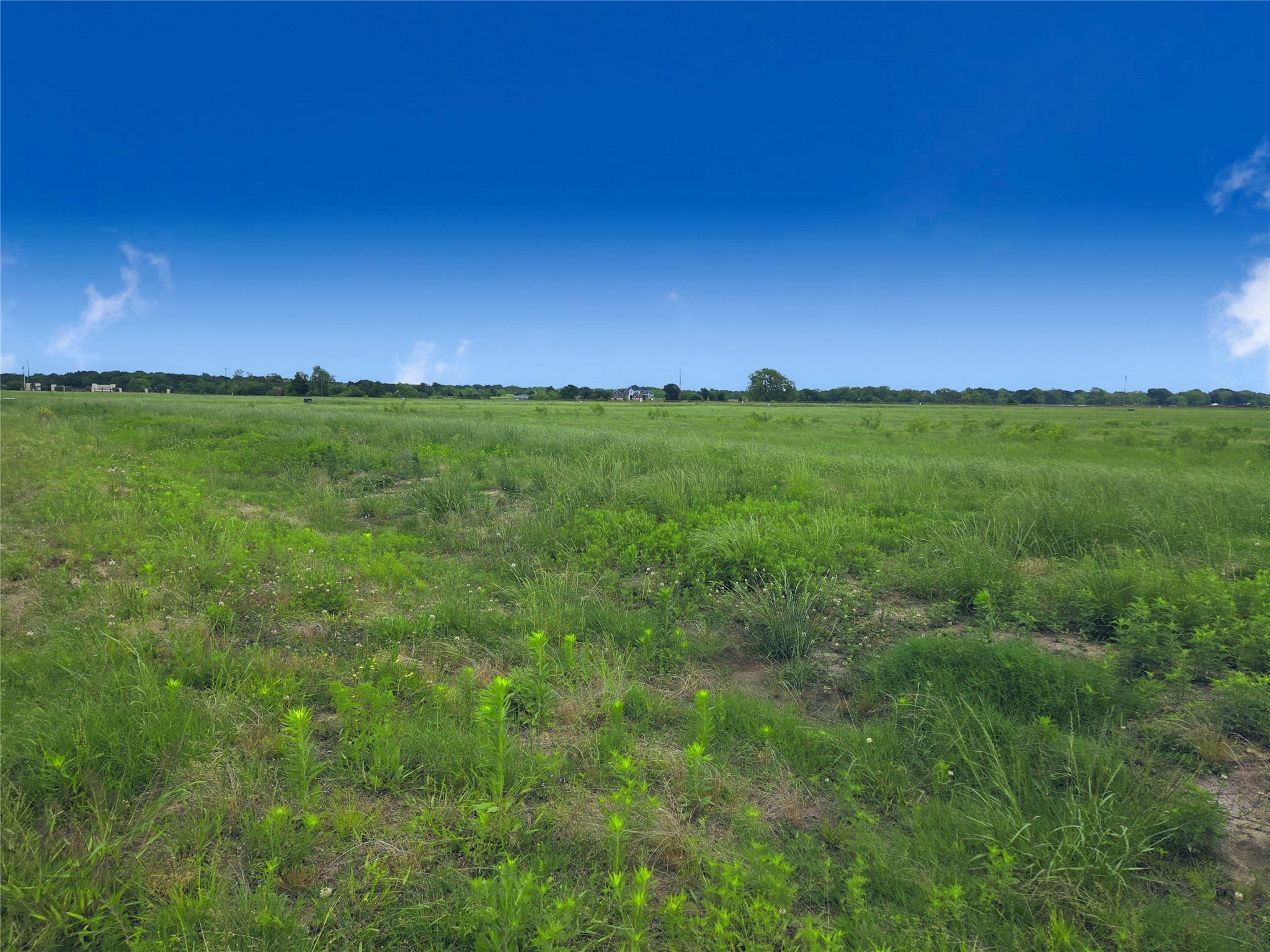 Lot 82 Sunset Boulevard