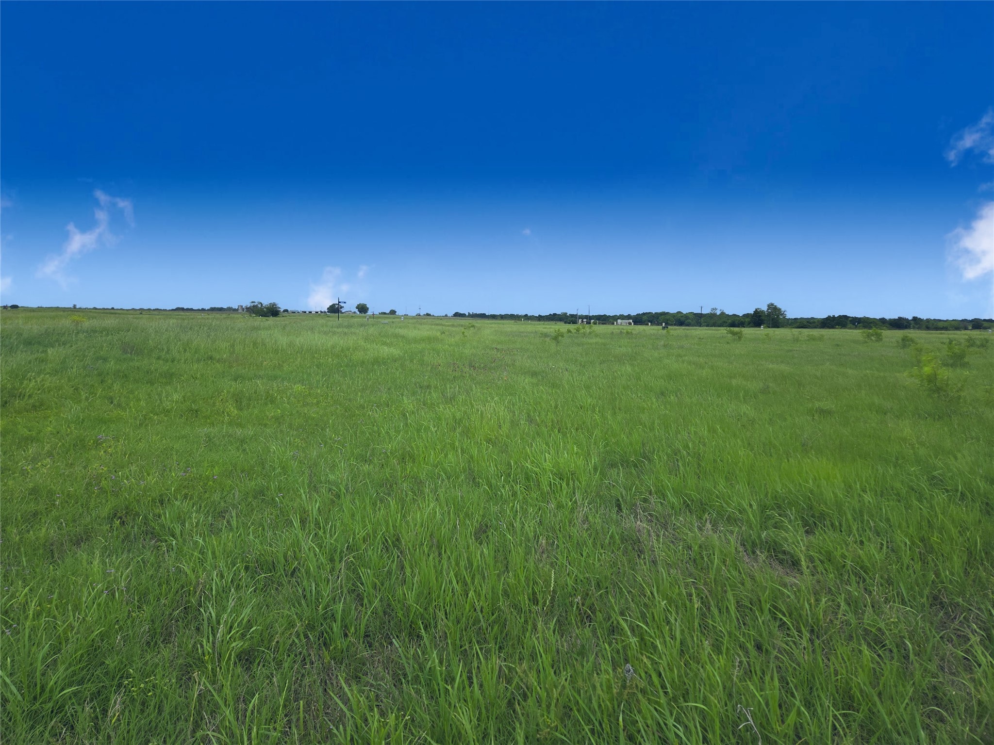 Lot 82 Sunset Boulevard