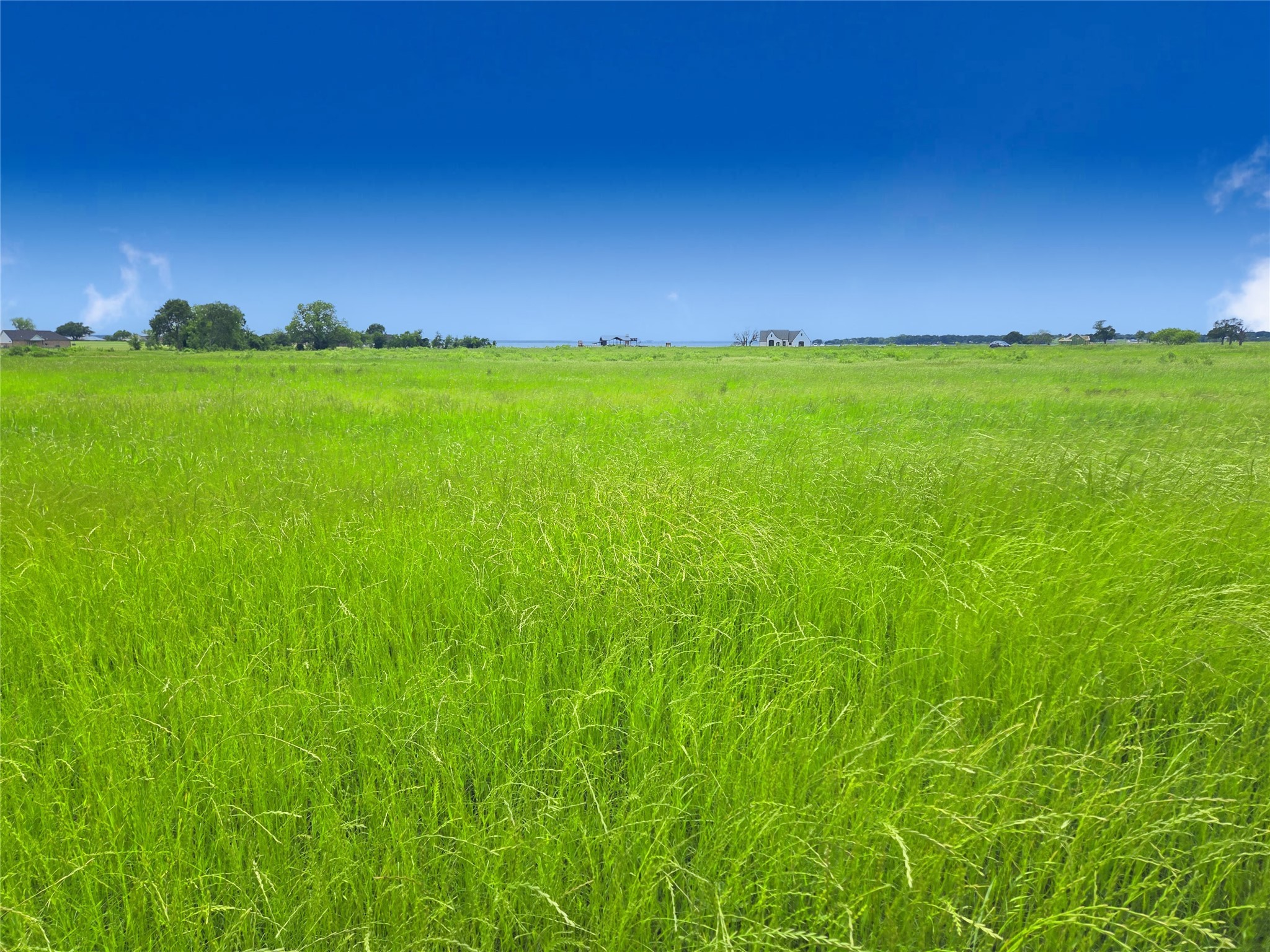 Lot 82 Sunset Boulevard