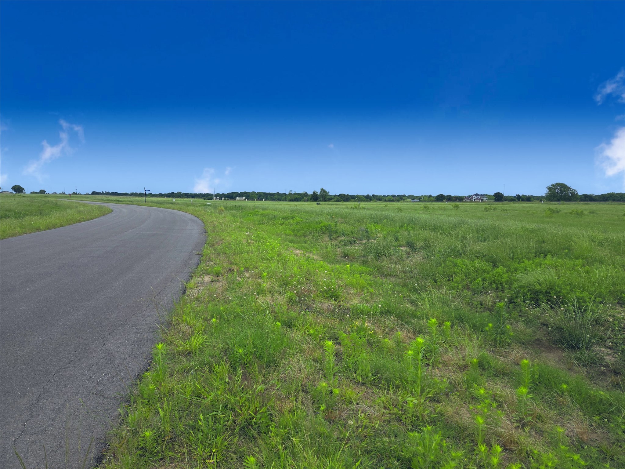 Lot 82 Sunset Boulevard