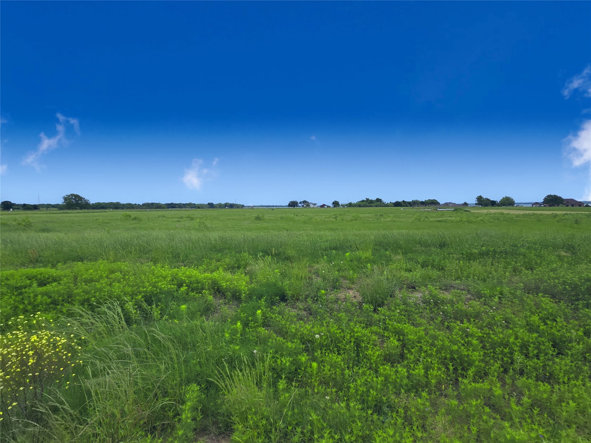 Lot 82 Sunset Boulevard
