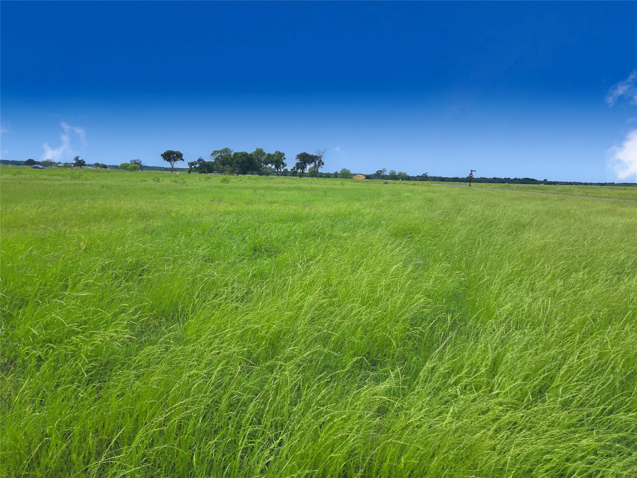 Lot 82 Sunset Boulevard