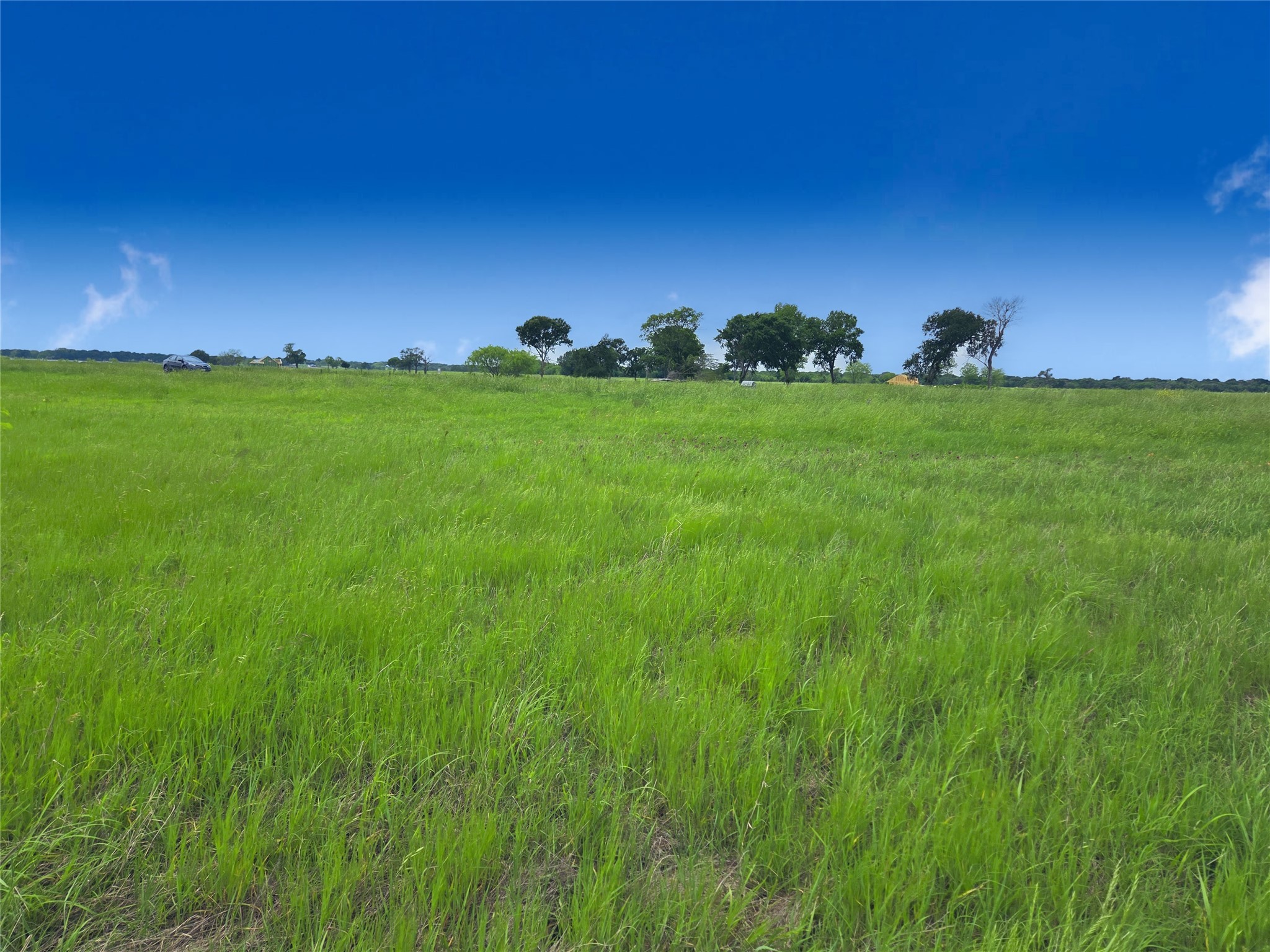 Lot 82 Sunset Boulevard