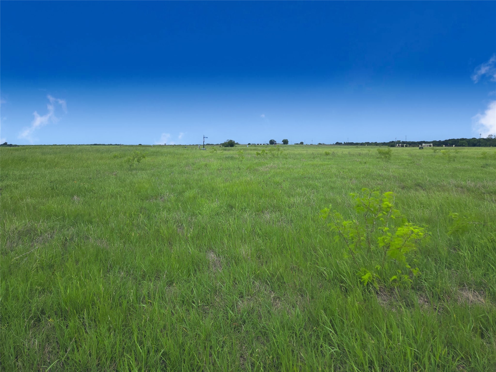 Lot 82 Sunset Boulevard