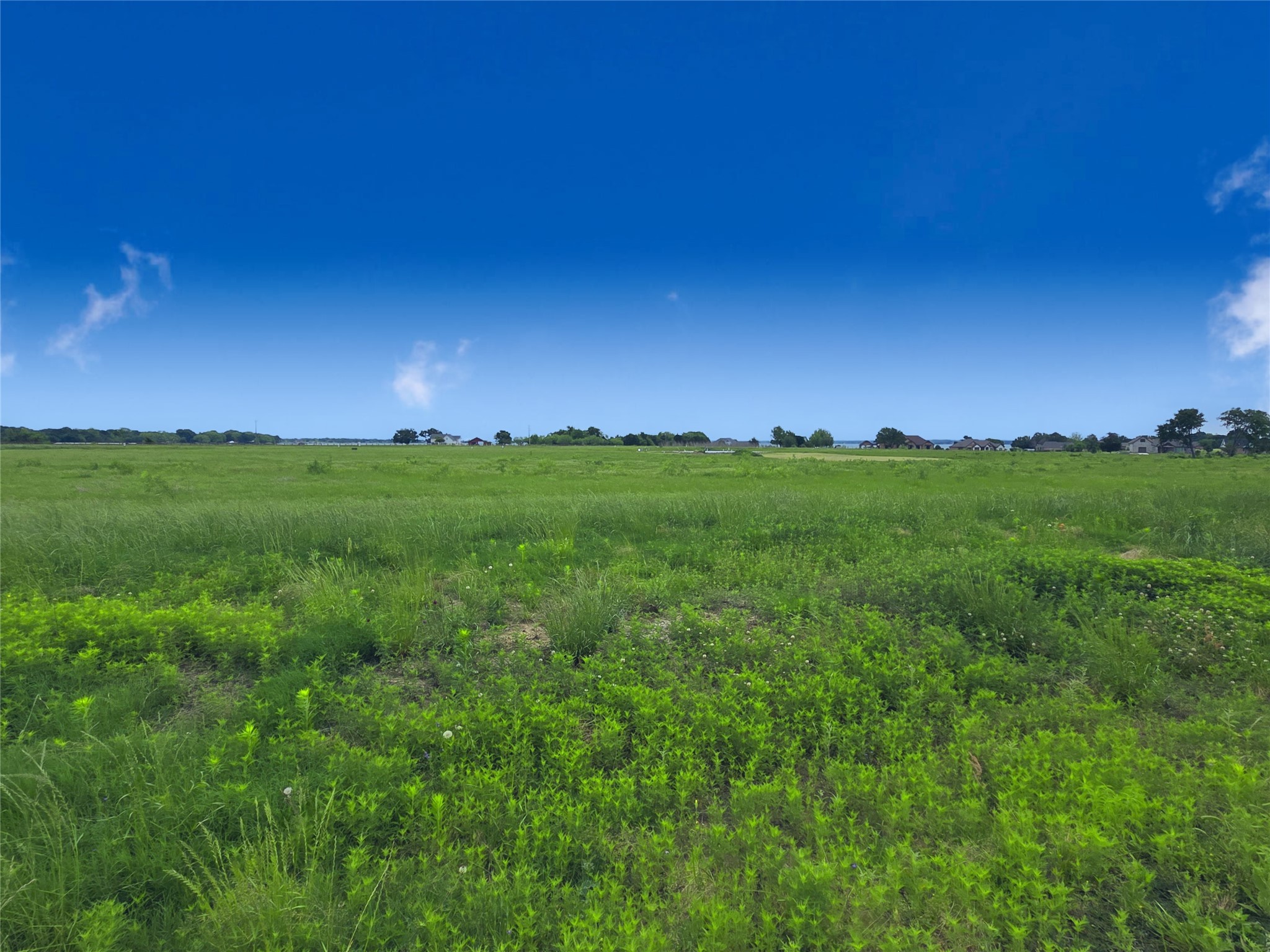 Lot 82 Sunset Boulevard