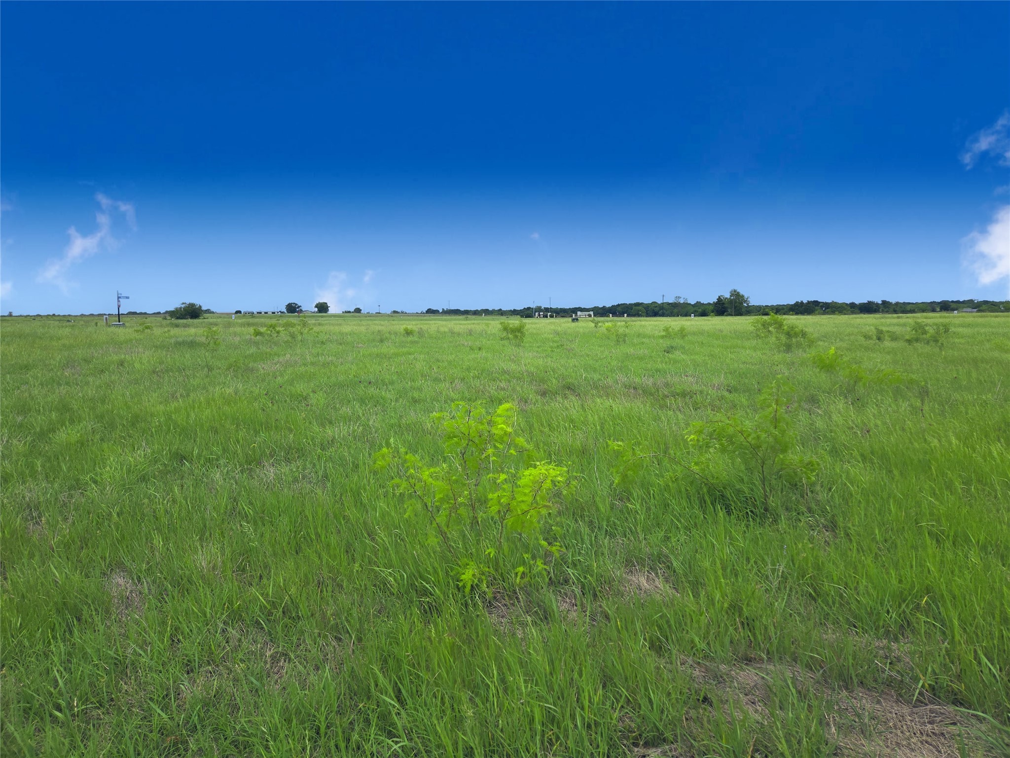 Lot 82 Sunset Boulevard