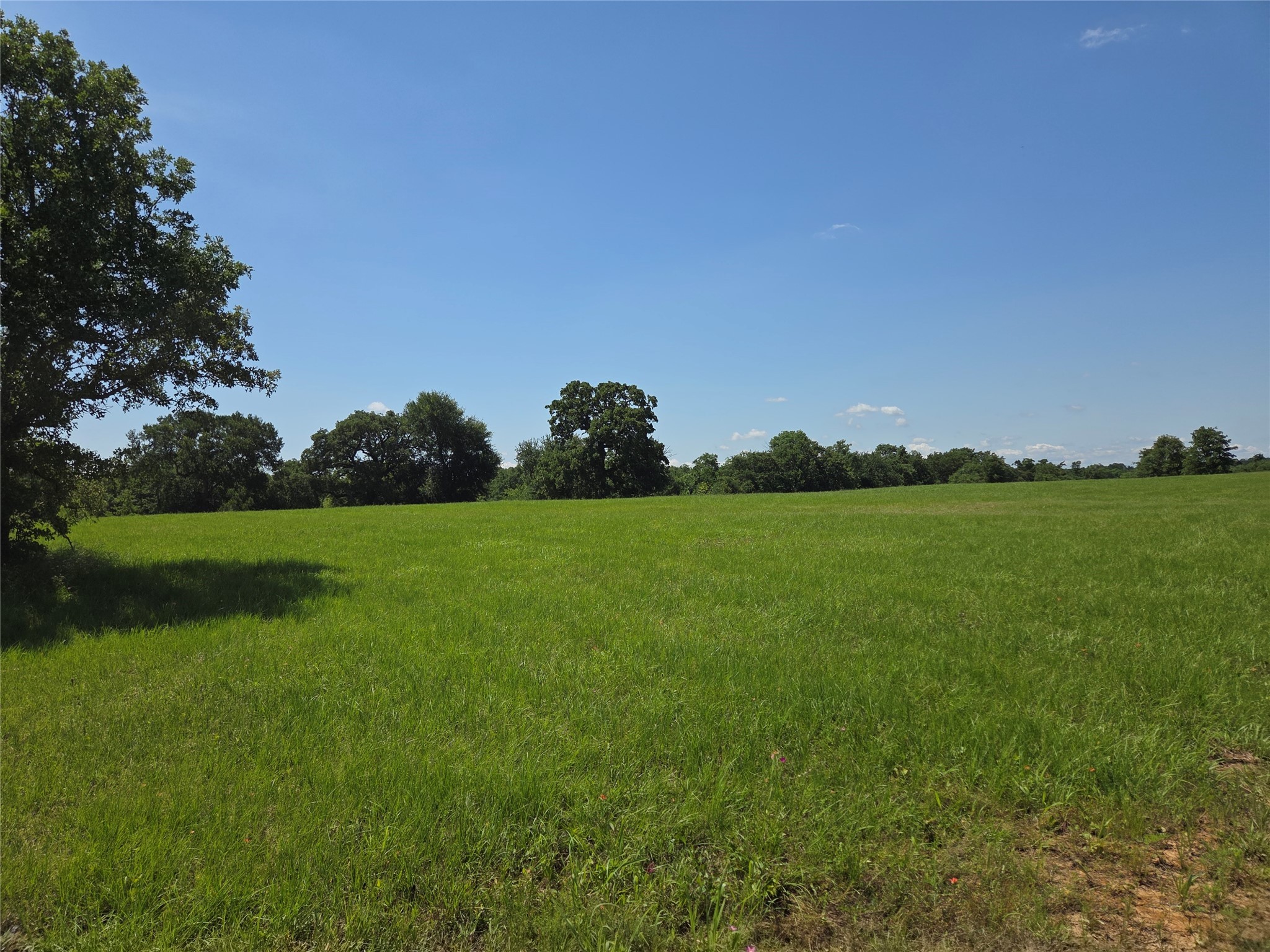 Lot 100 Lake Ridge Drive