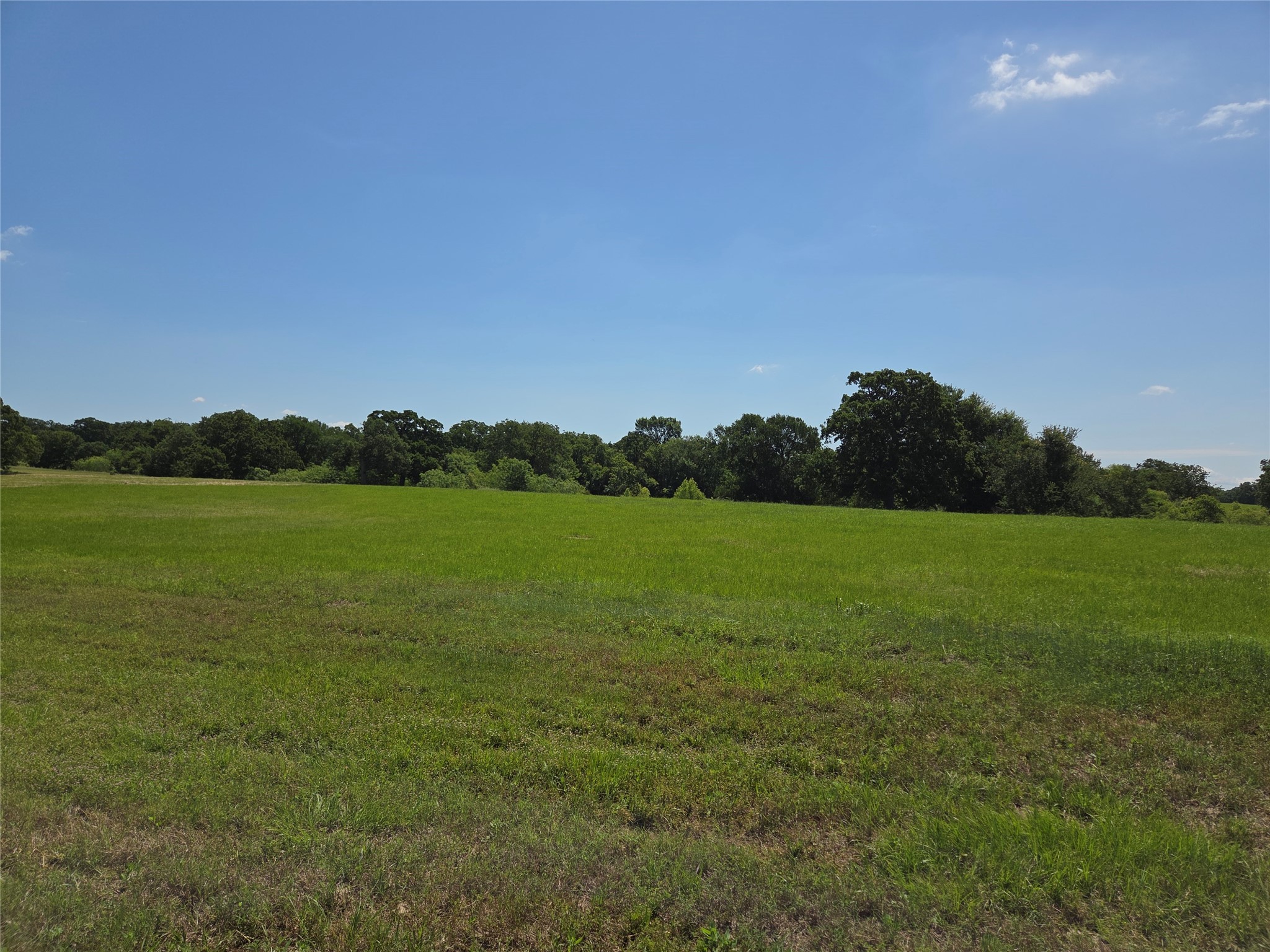 Lot 100 Lake Ridge Drive
