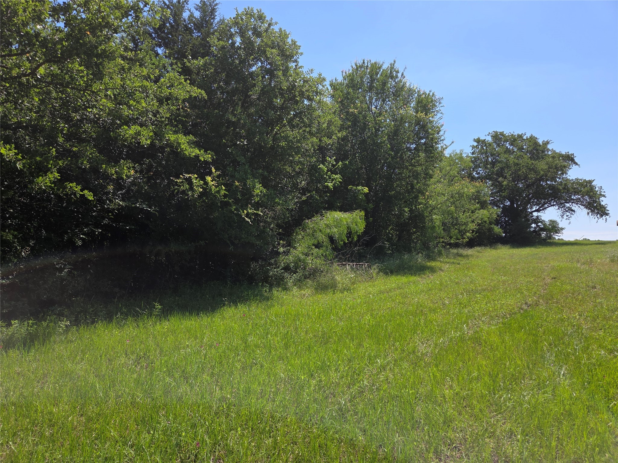 Lot 100 Lake Ridge Drive