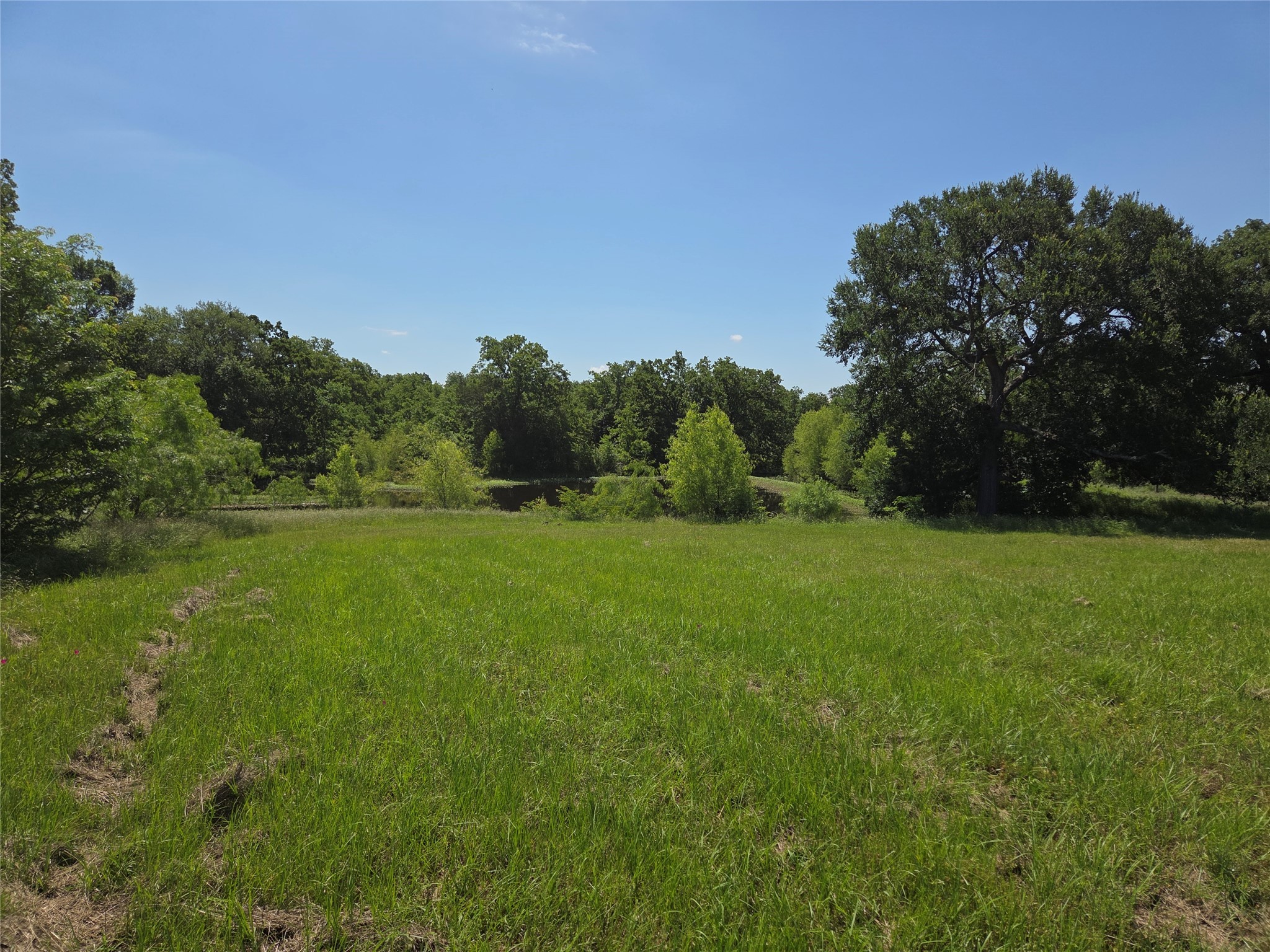 Lot 100 Lake Ridge Drive