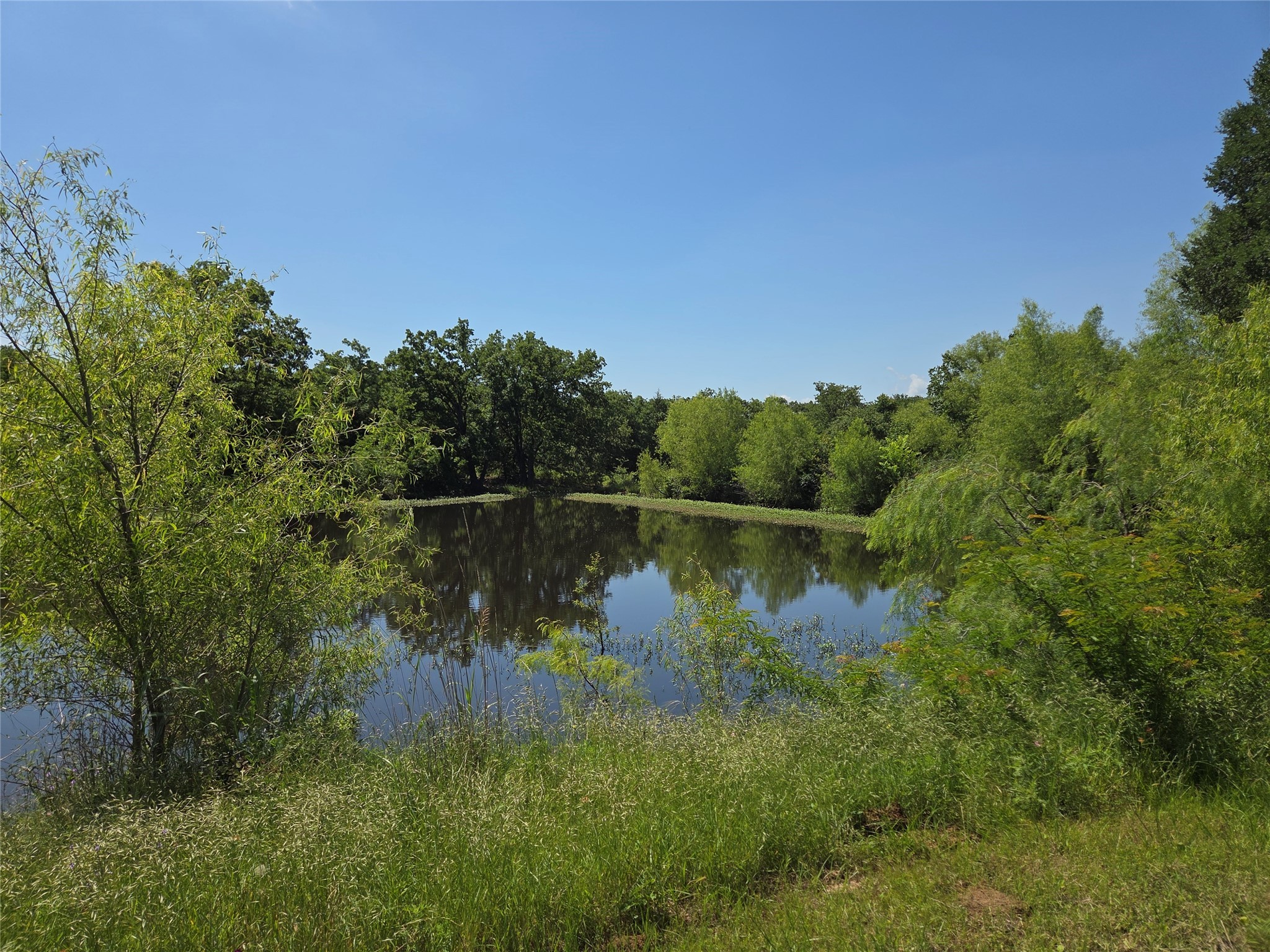 Lot 100 Lake Ridge Drive