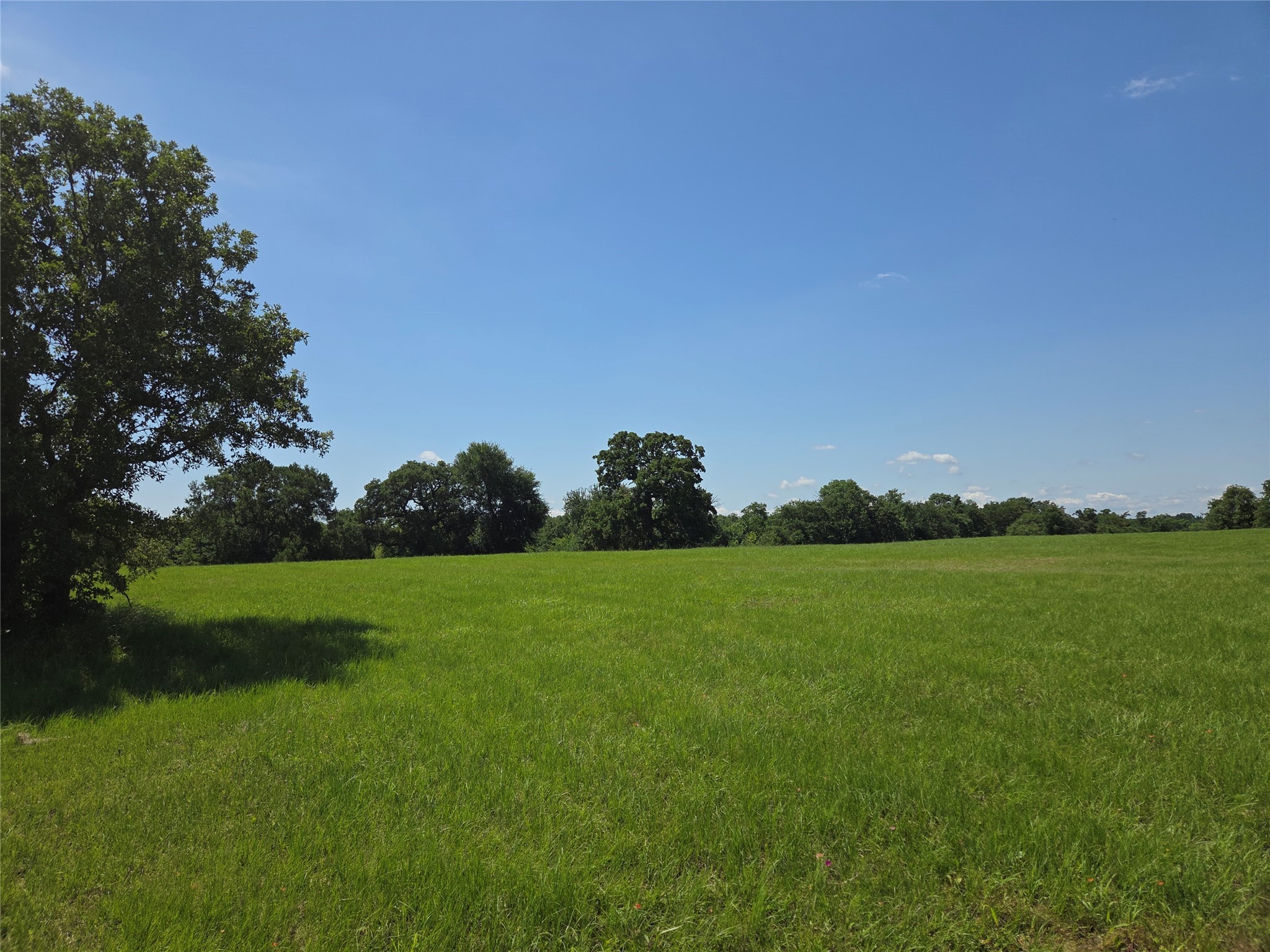 Lot 100 Lake Ridge Drive