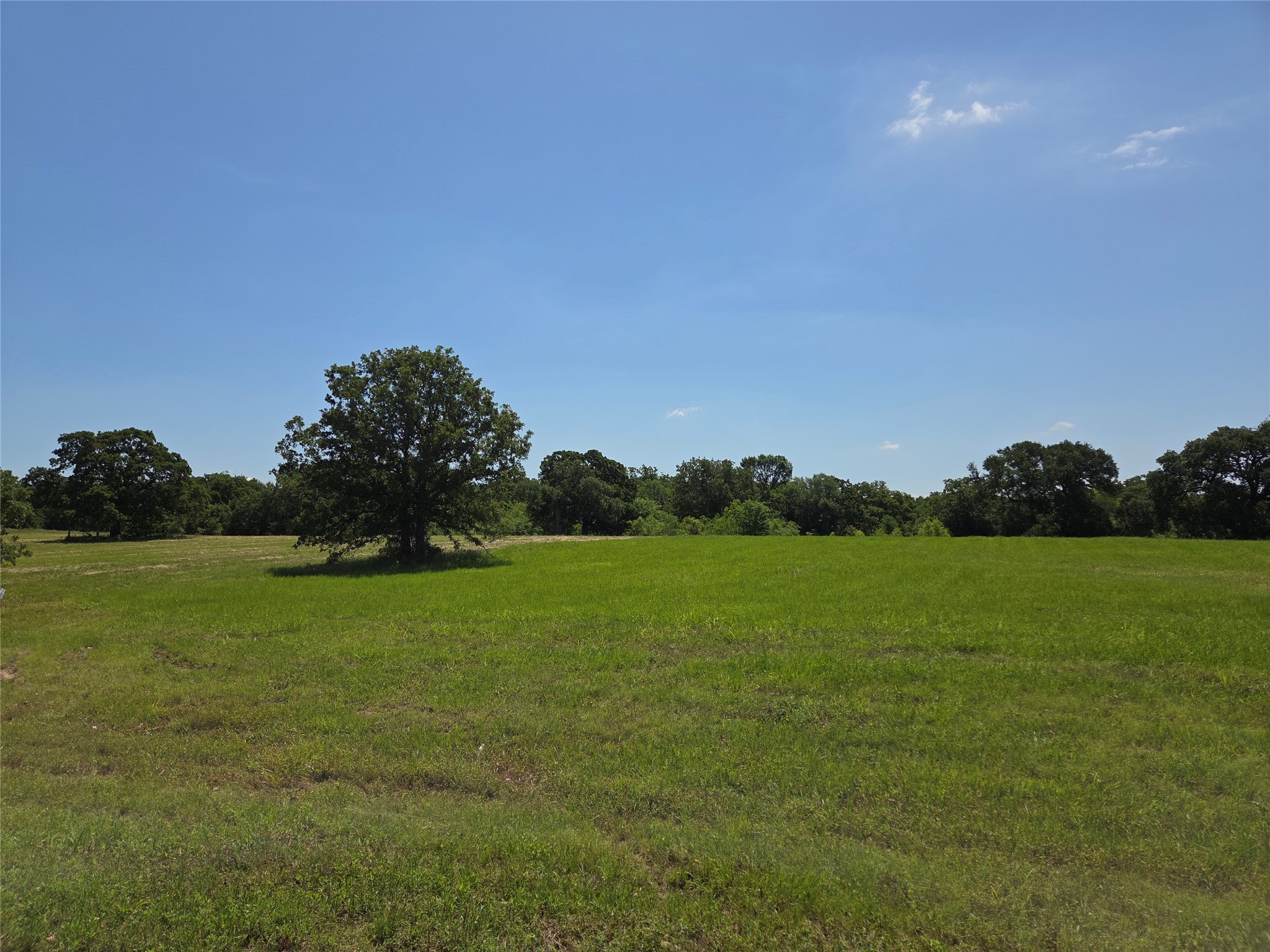 Lot 100 Lake Ridge Drive