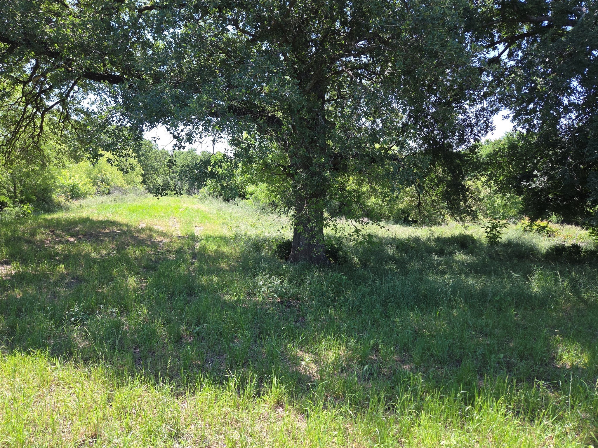 Lot 100 Lake Ridge Drive