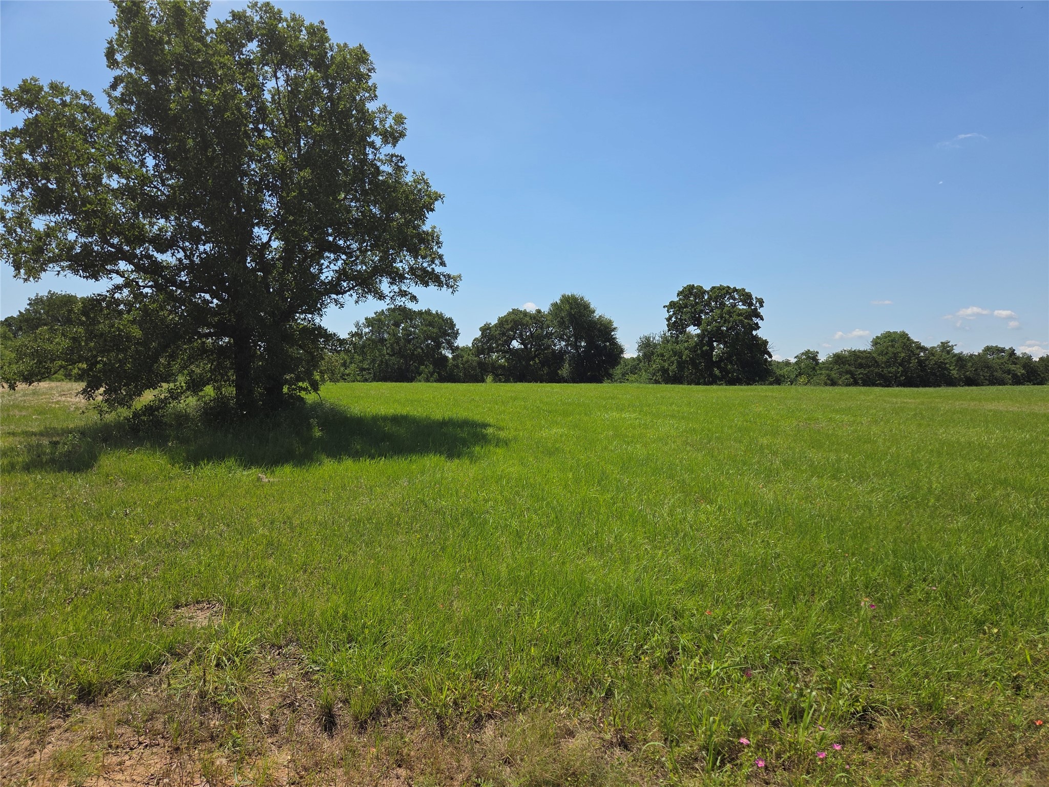 Lot 100 Lake Ridge Drive