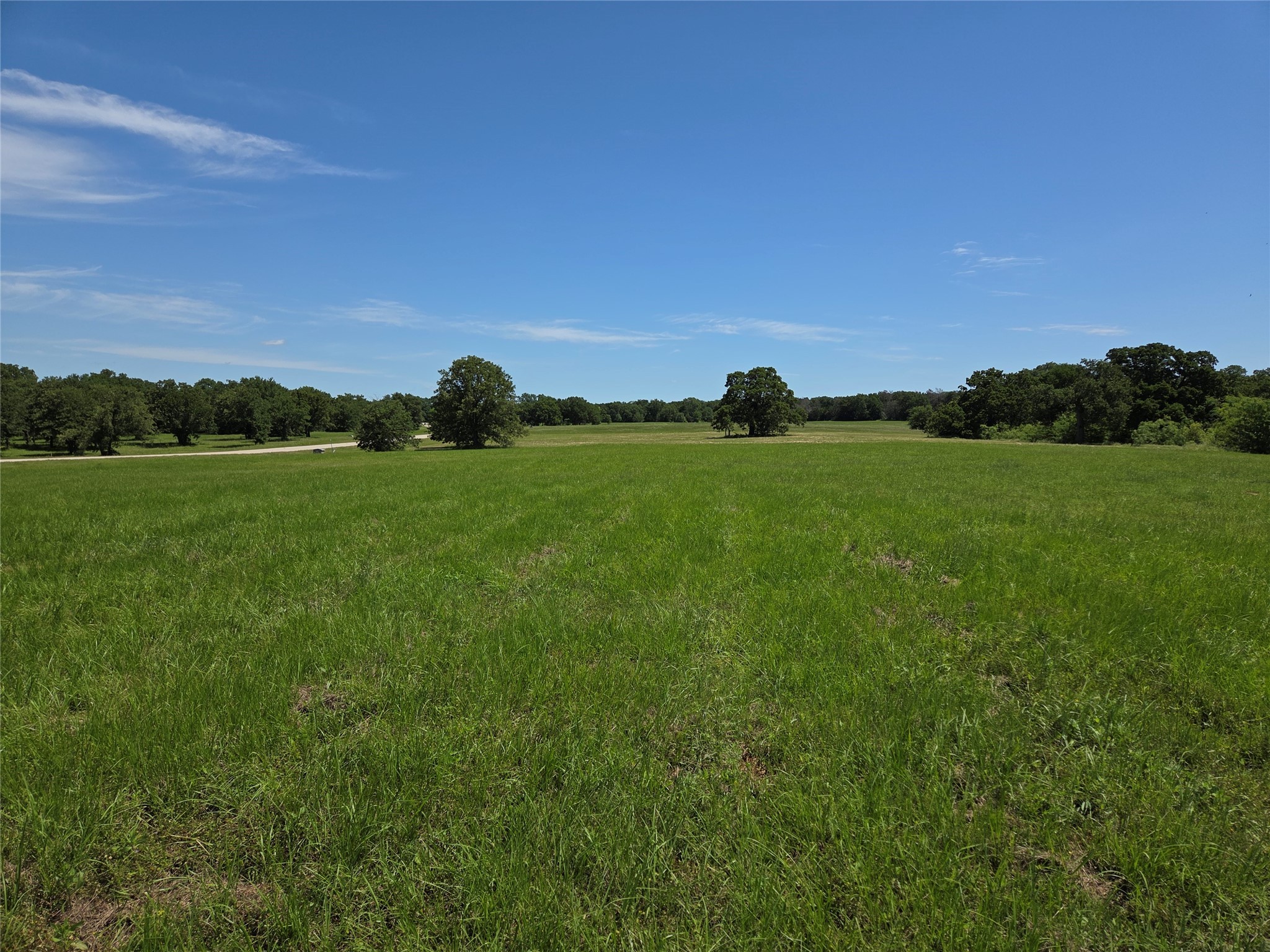 Lot 100 Lake Ridge Drive
