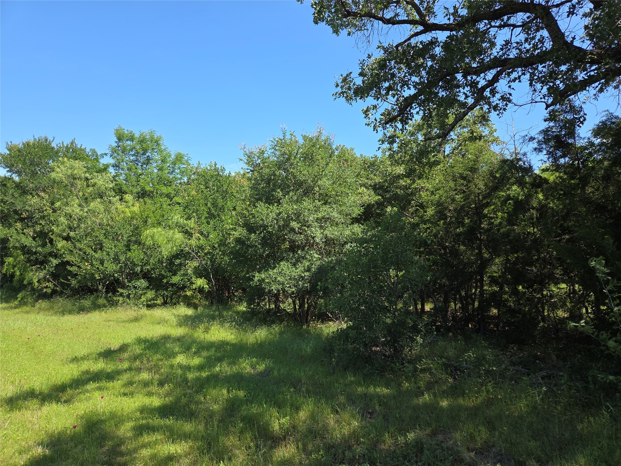 Lot 100 Lake Ridge Drive