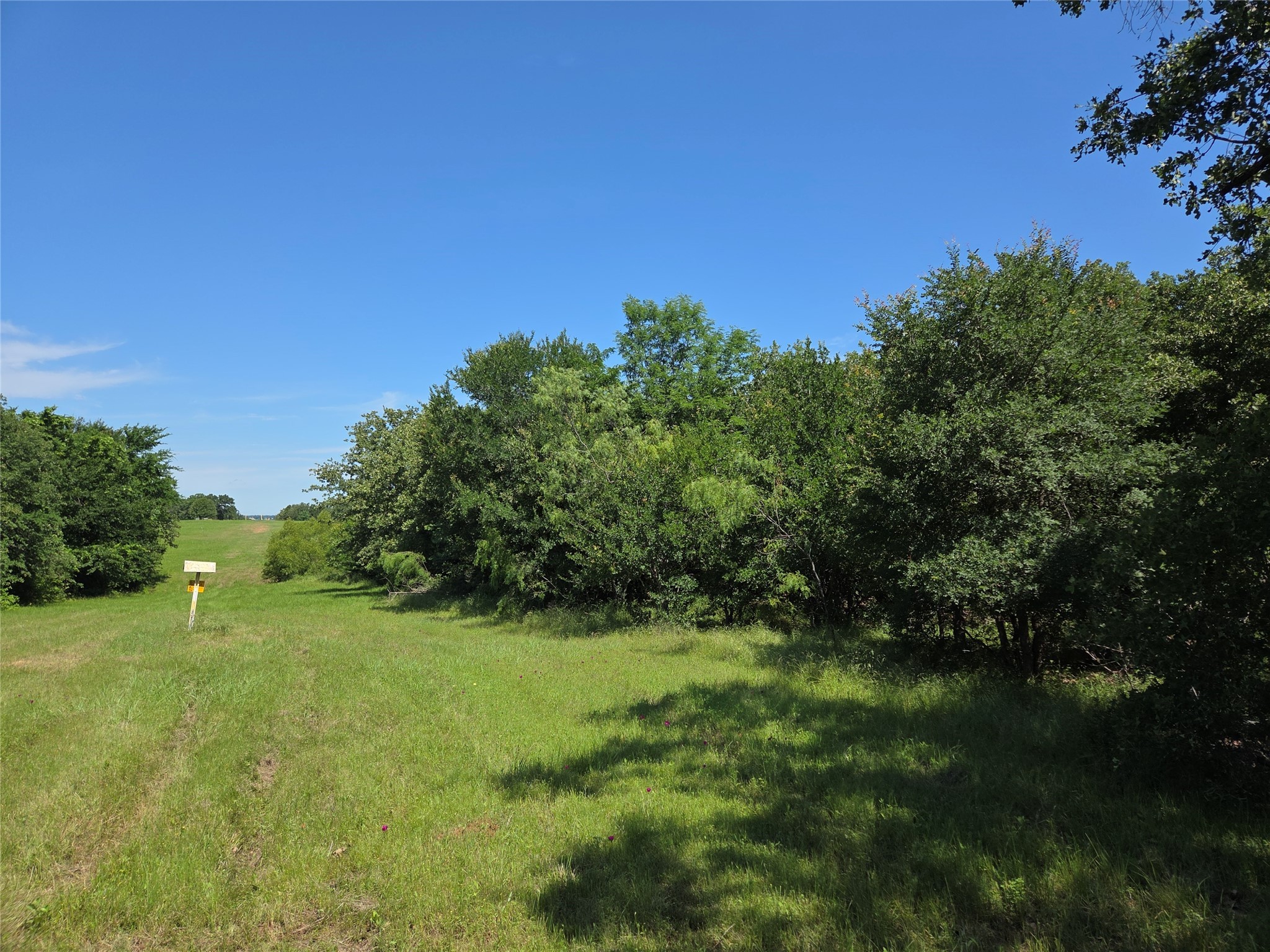 Lot 100 Lake Ridge Drive