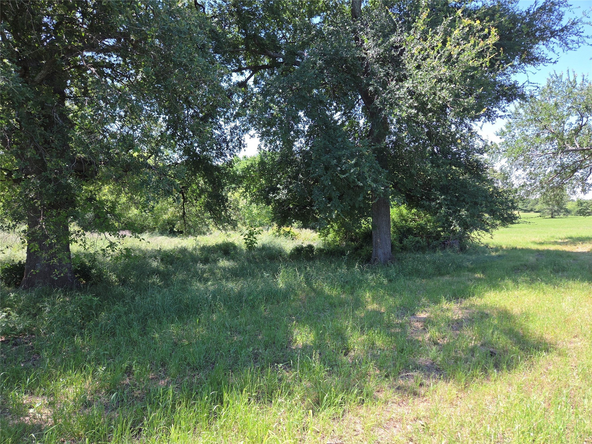 Lot 100 Lake Ridge Drive