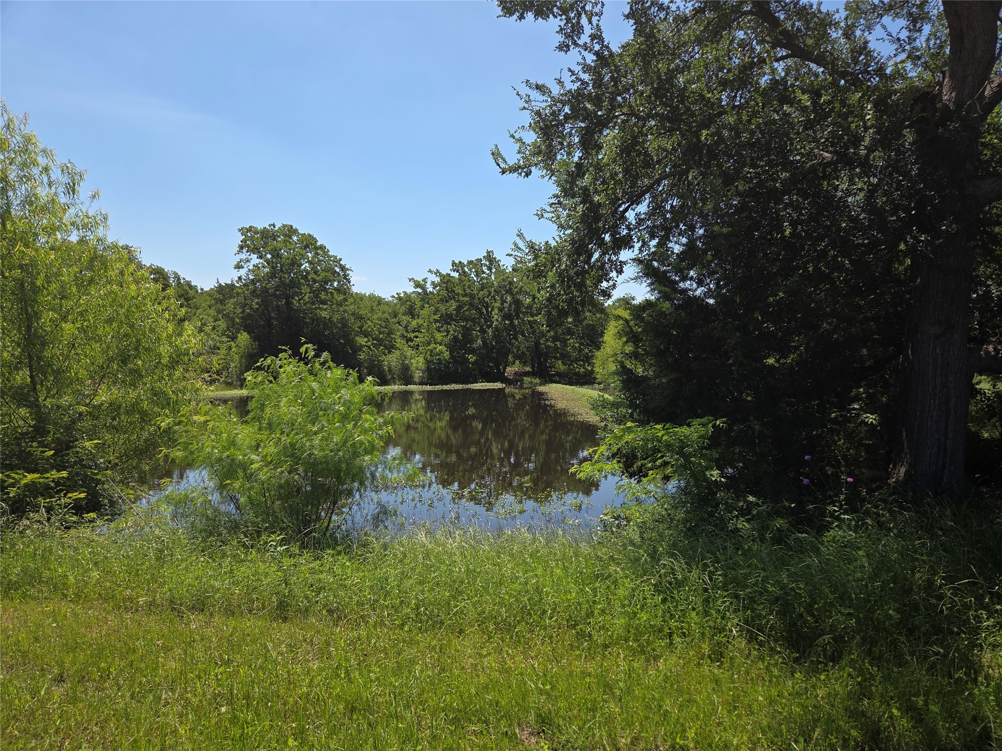 Lot 100 Lake Ridge Drive