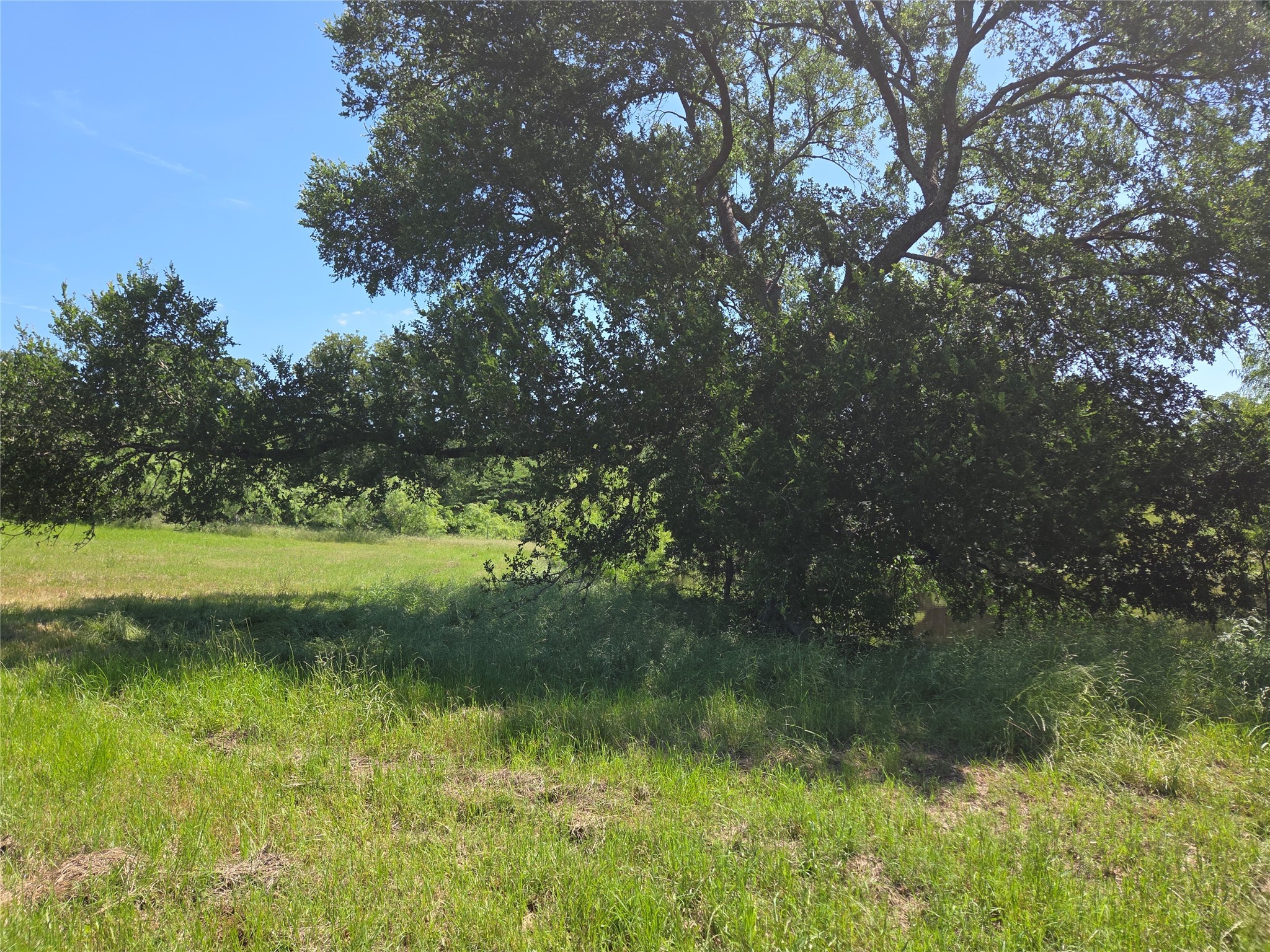 Lot 100 Lake Ridge Drive