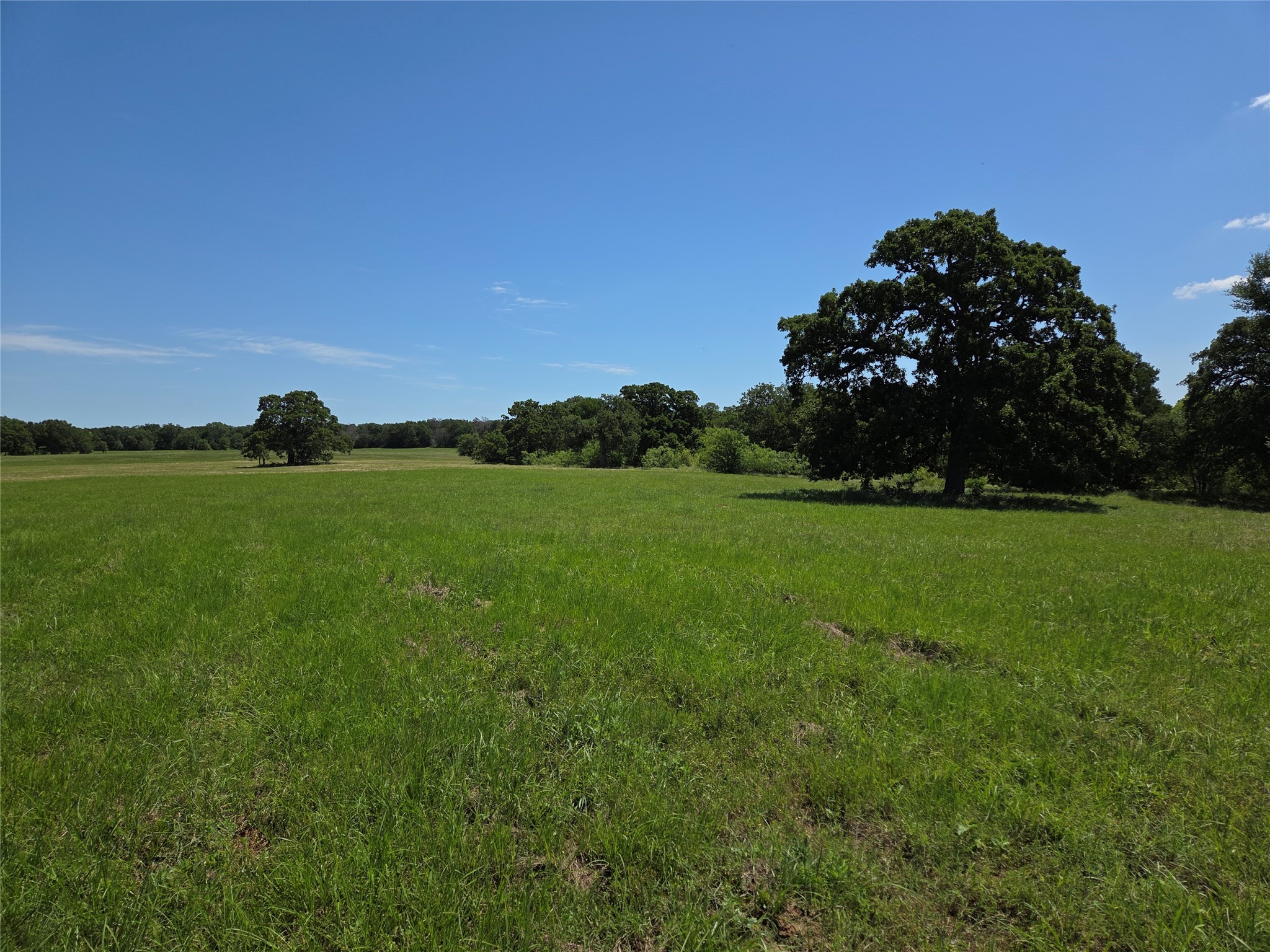 Lot 100 Lake Ridge Drive