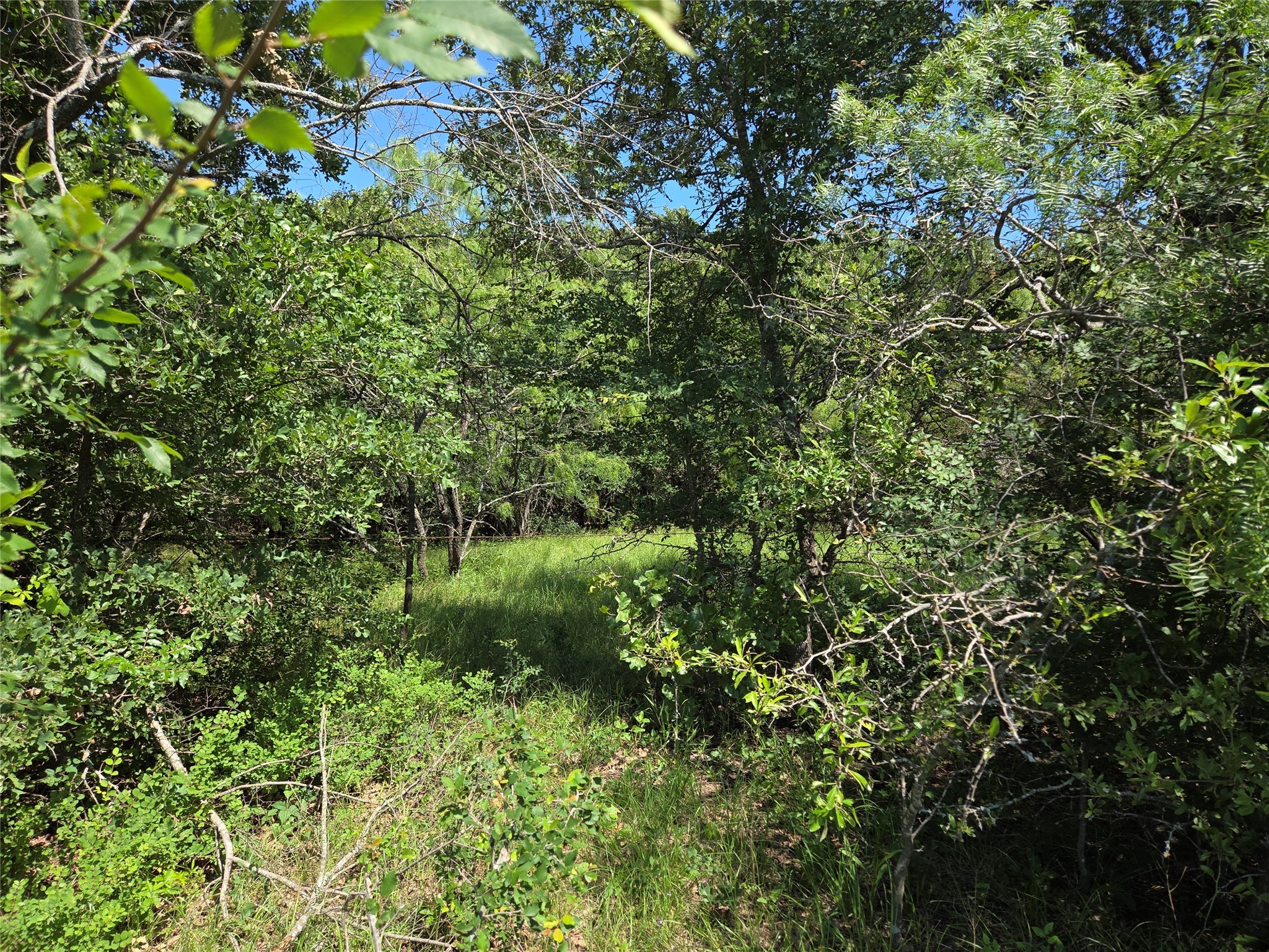 Lot 100 Lake Ridge Drive