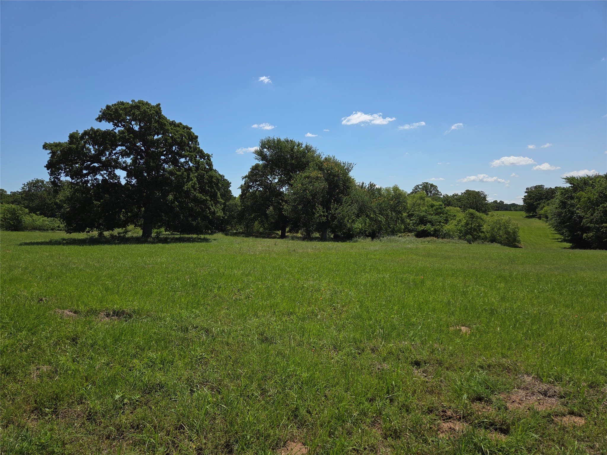Lot 100 Lake Ridge Drive