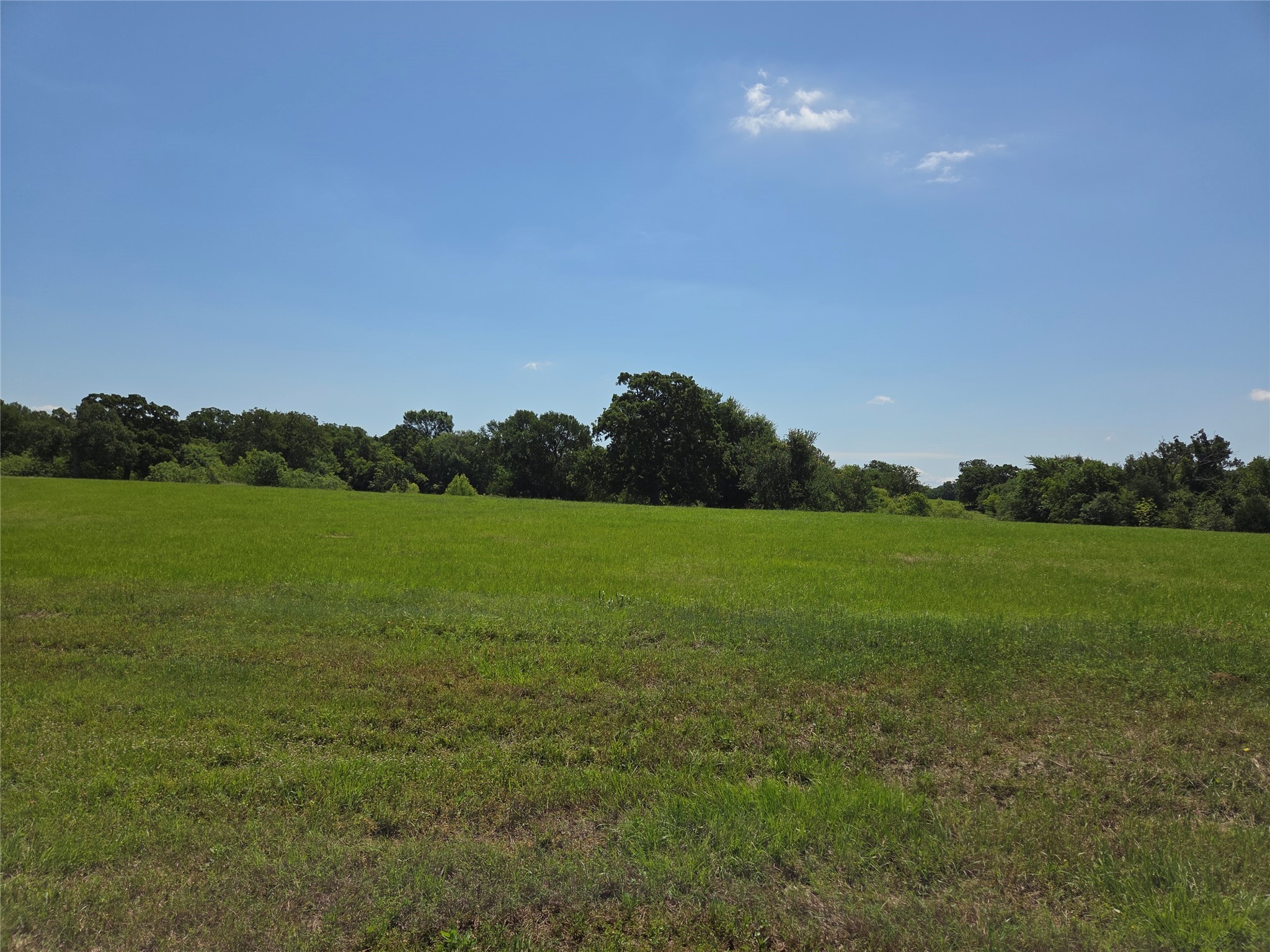 Lot 100 Lake Ridge Drive